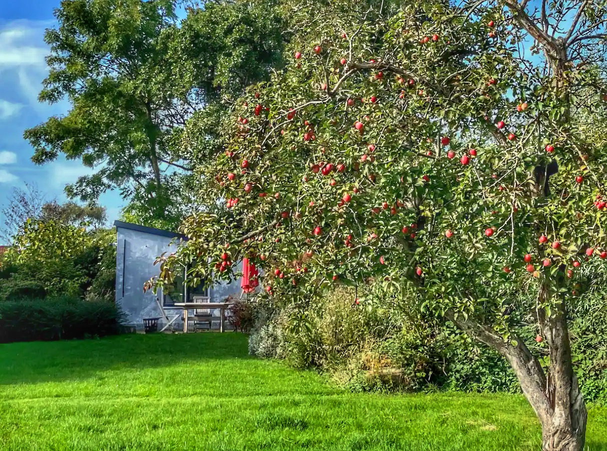 Naturhäuschen in Oostkapelle