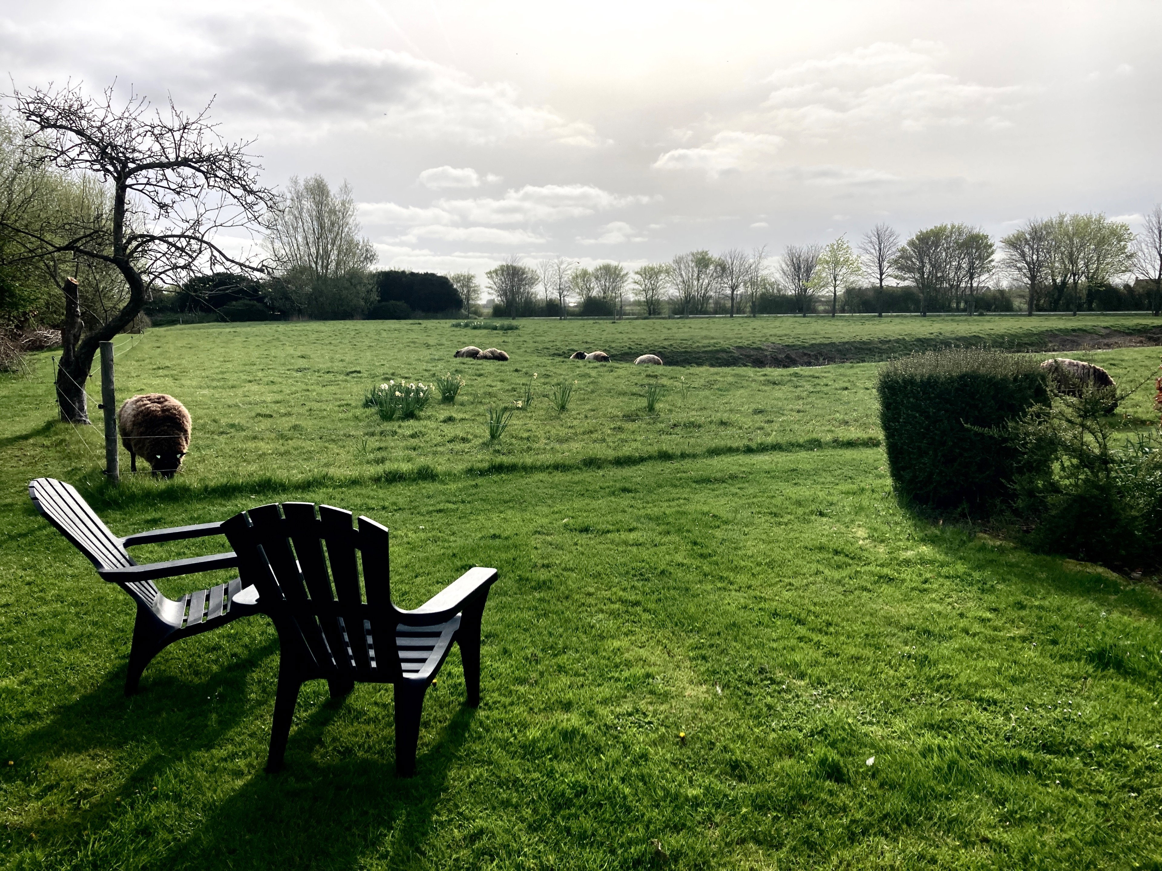 Maison nature à Oostkapelle