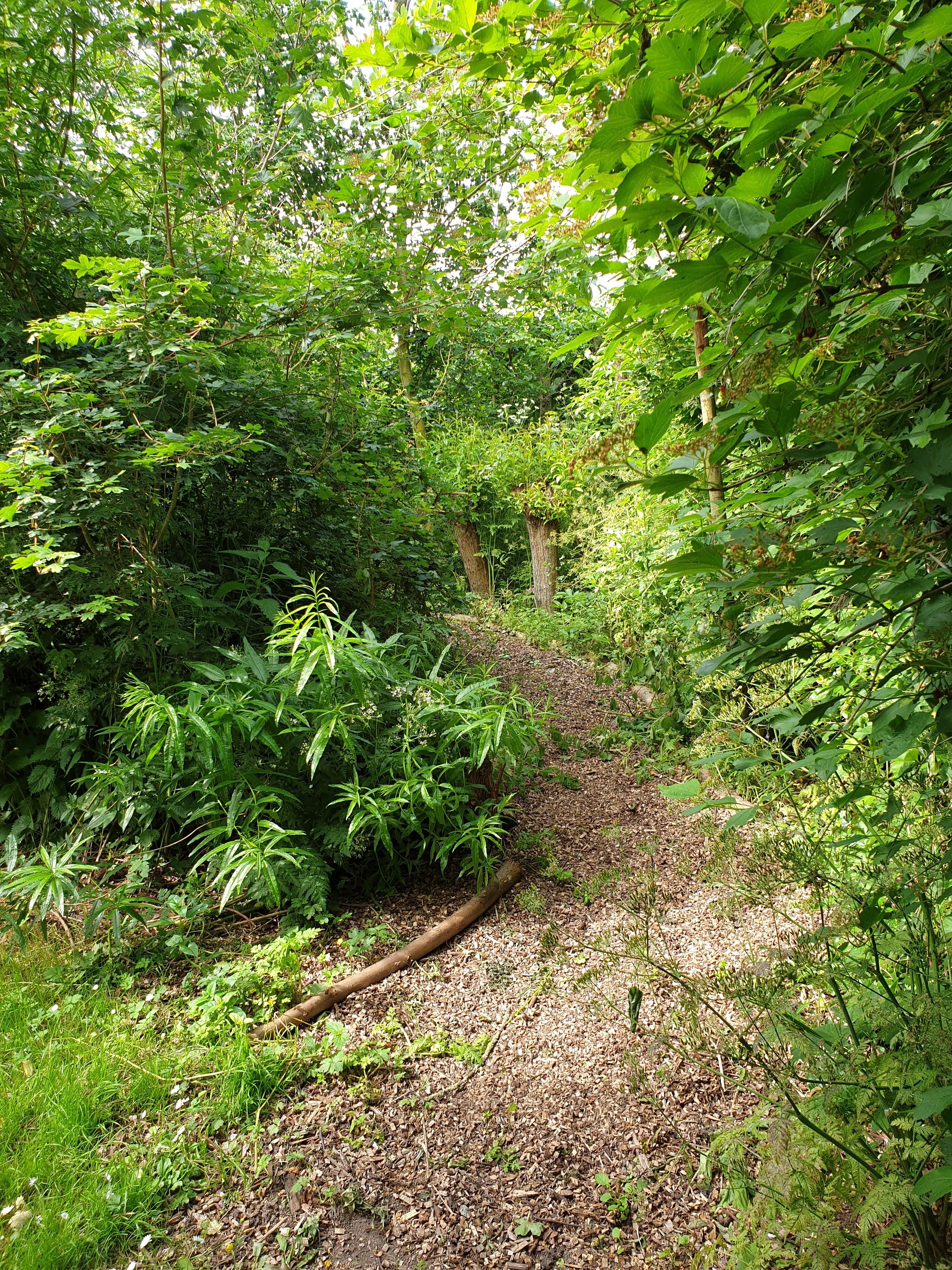 Natuurhuisje in Oudelande