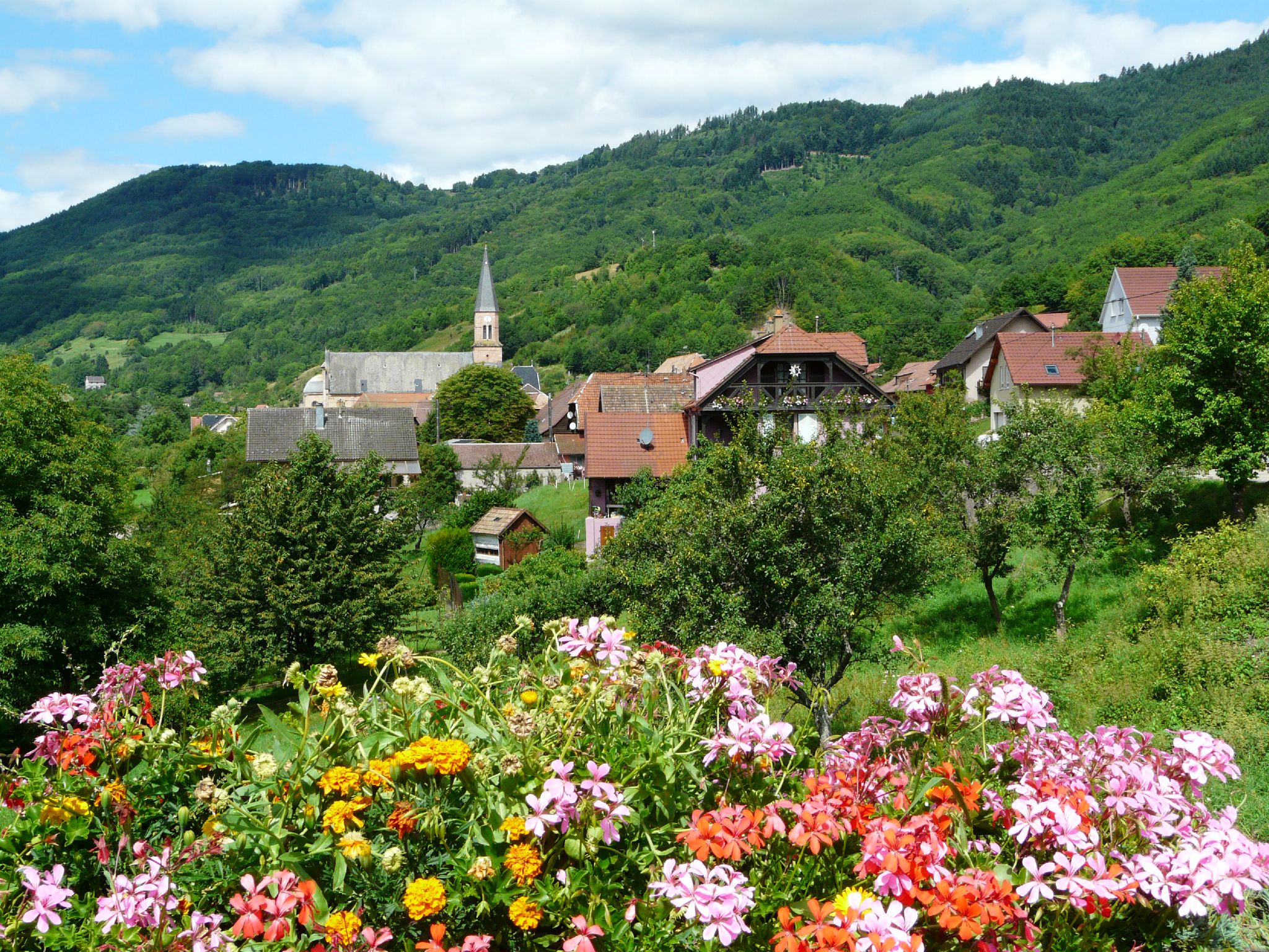 - image: 25