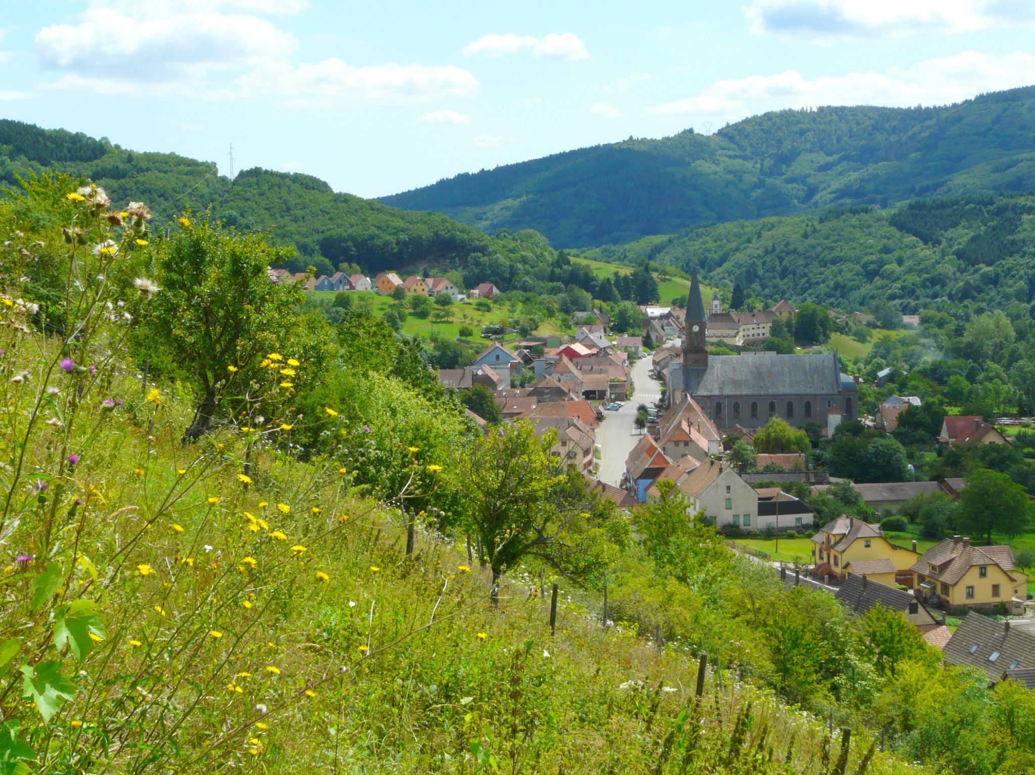 Maison nature à STEIGE