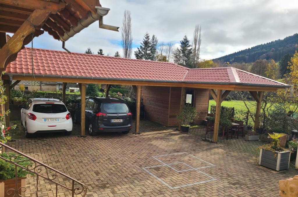 Maison nature à STEIGE