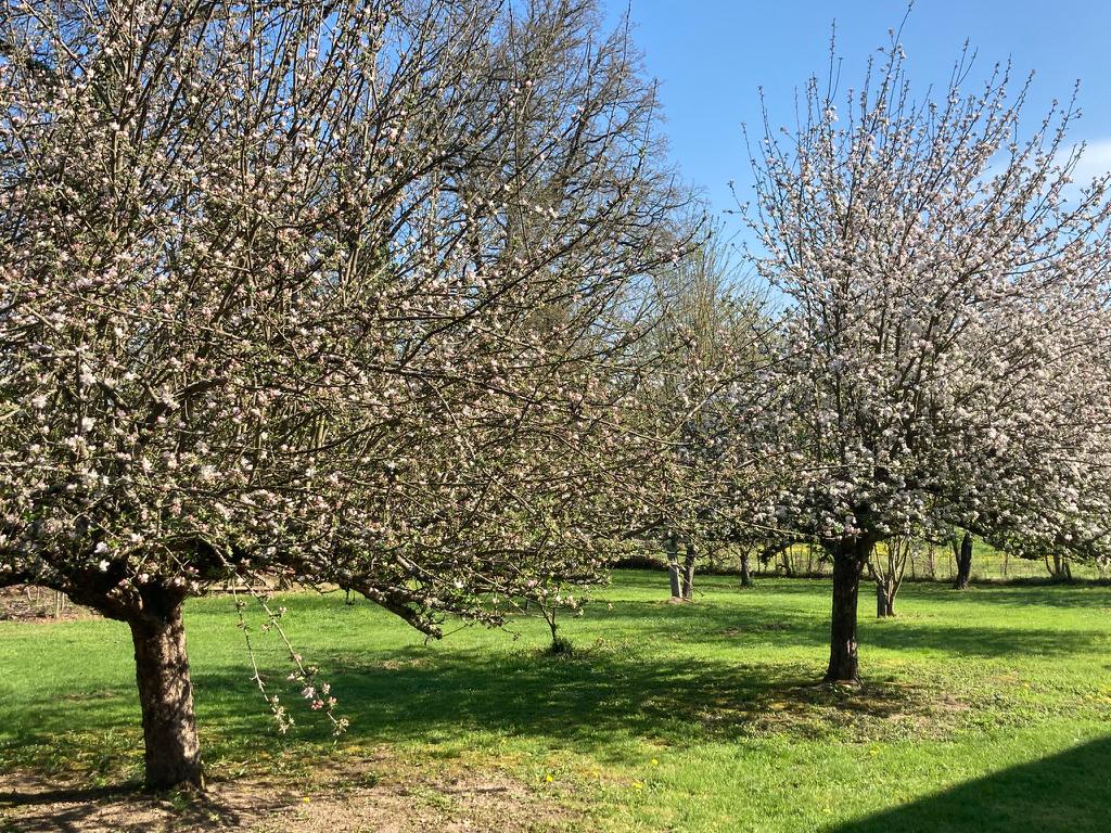 Naturhäuschen in Moutier d'Ahun