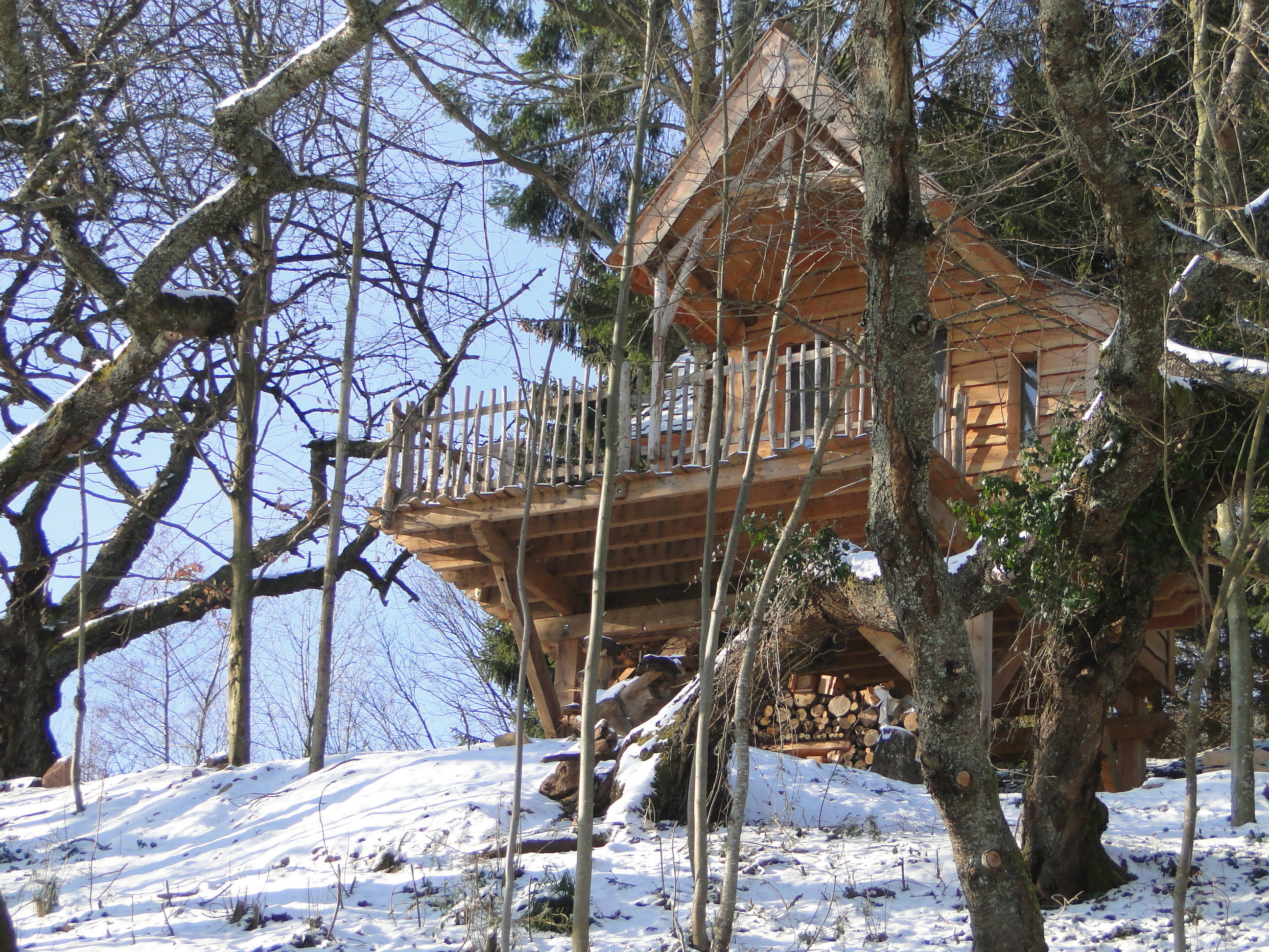 Nature house in THANNENKIRCH