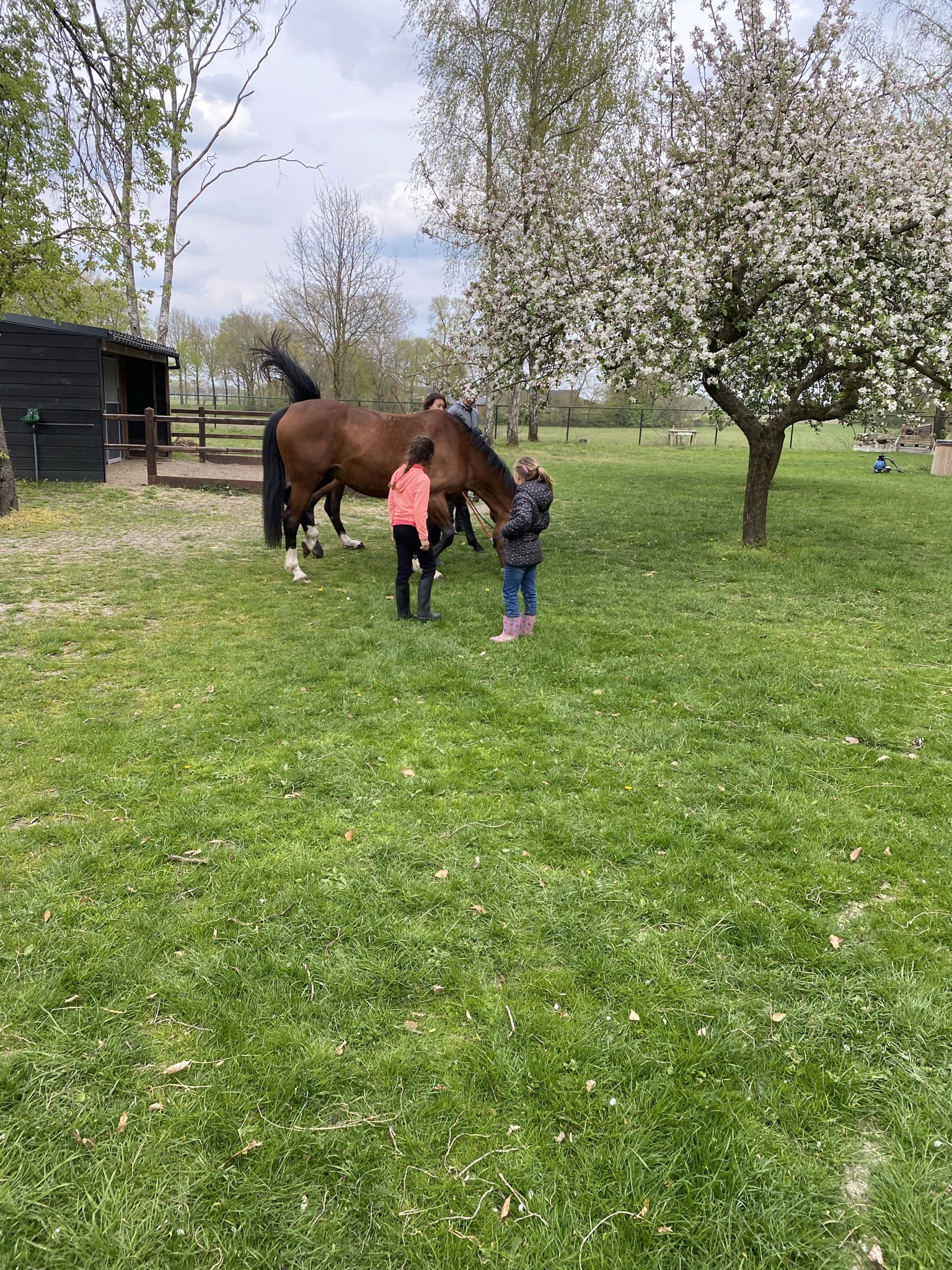 Natuurhuisje in Bladel