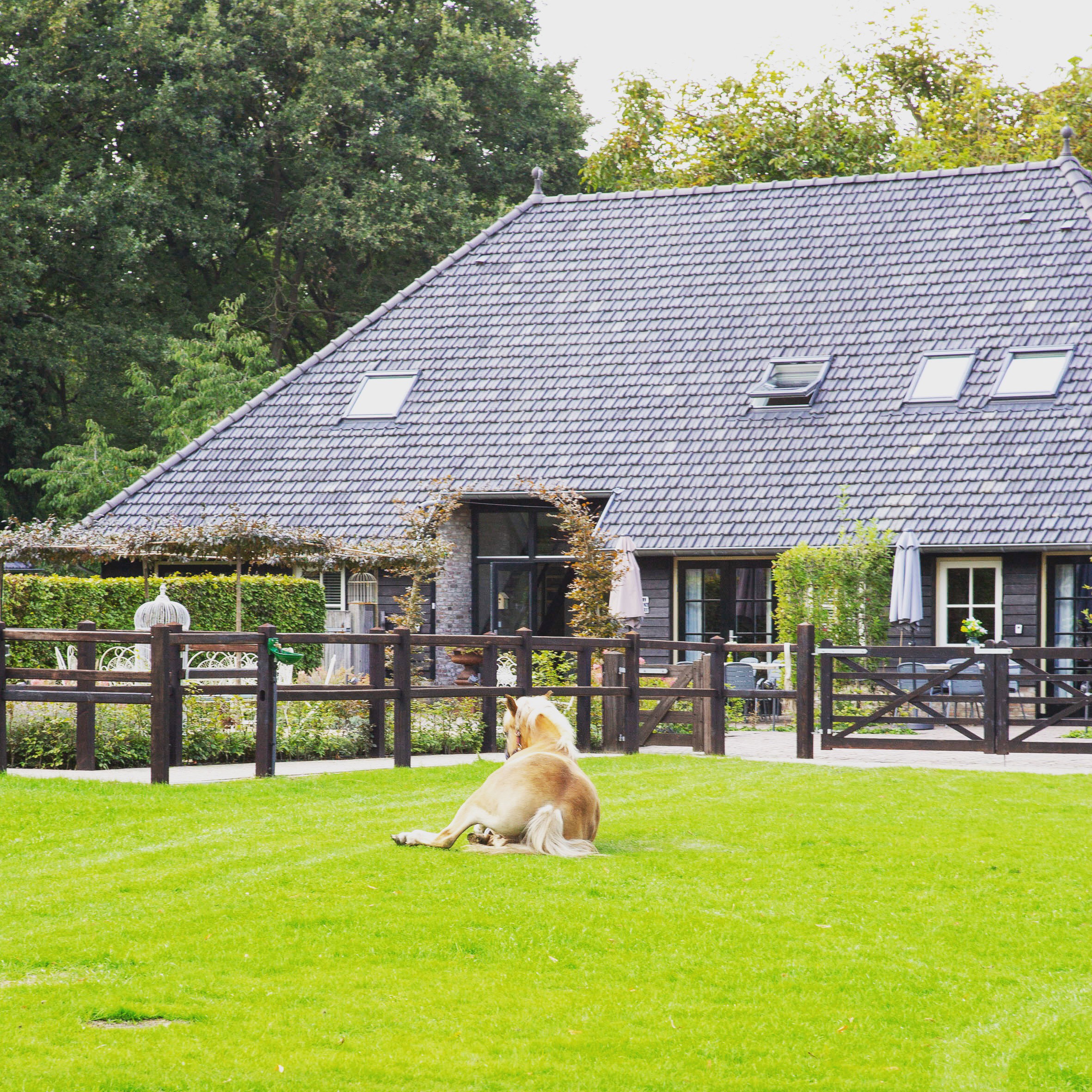Natuurhuisje in Bladel
