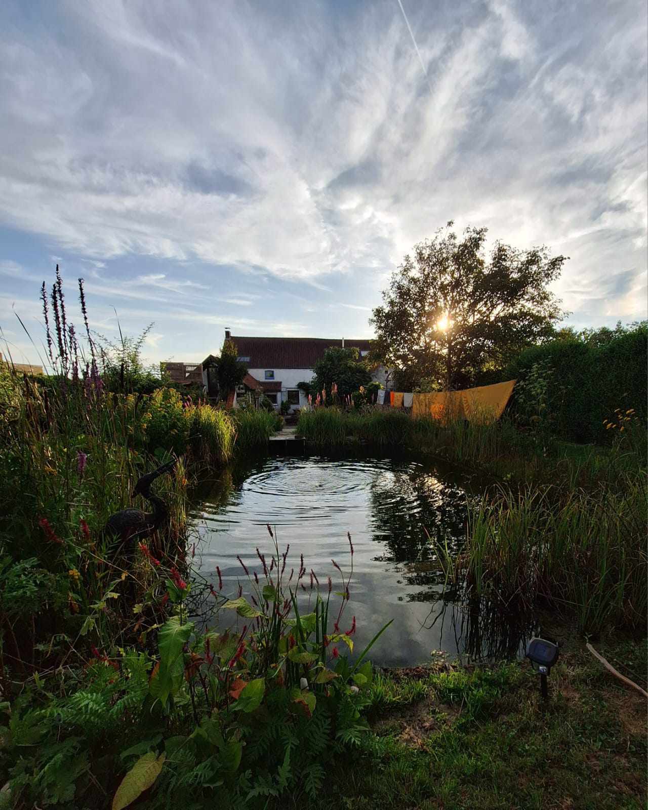 Natuurhuisje in Sint-Maria-Latem