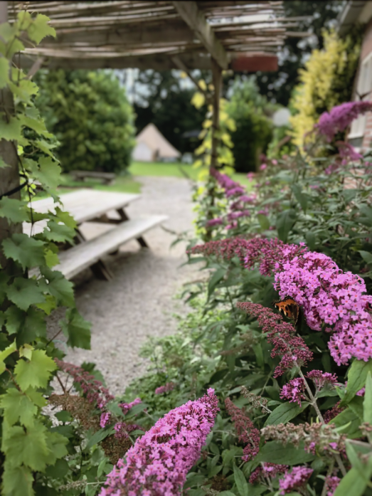 Maison nature à Rutten