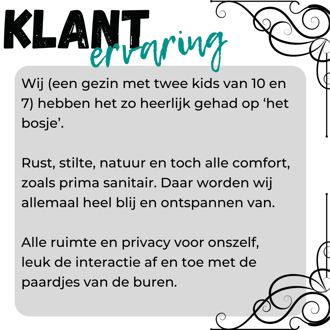 - image: 19