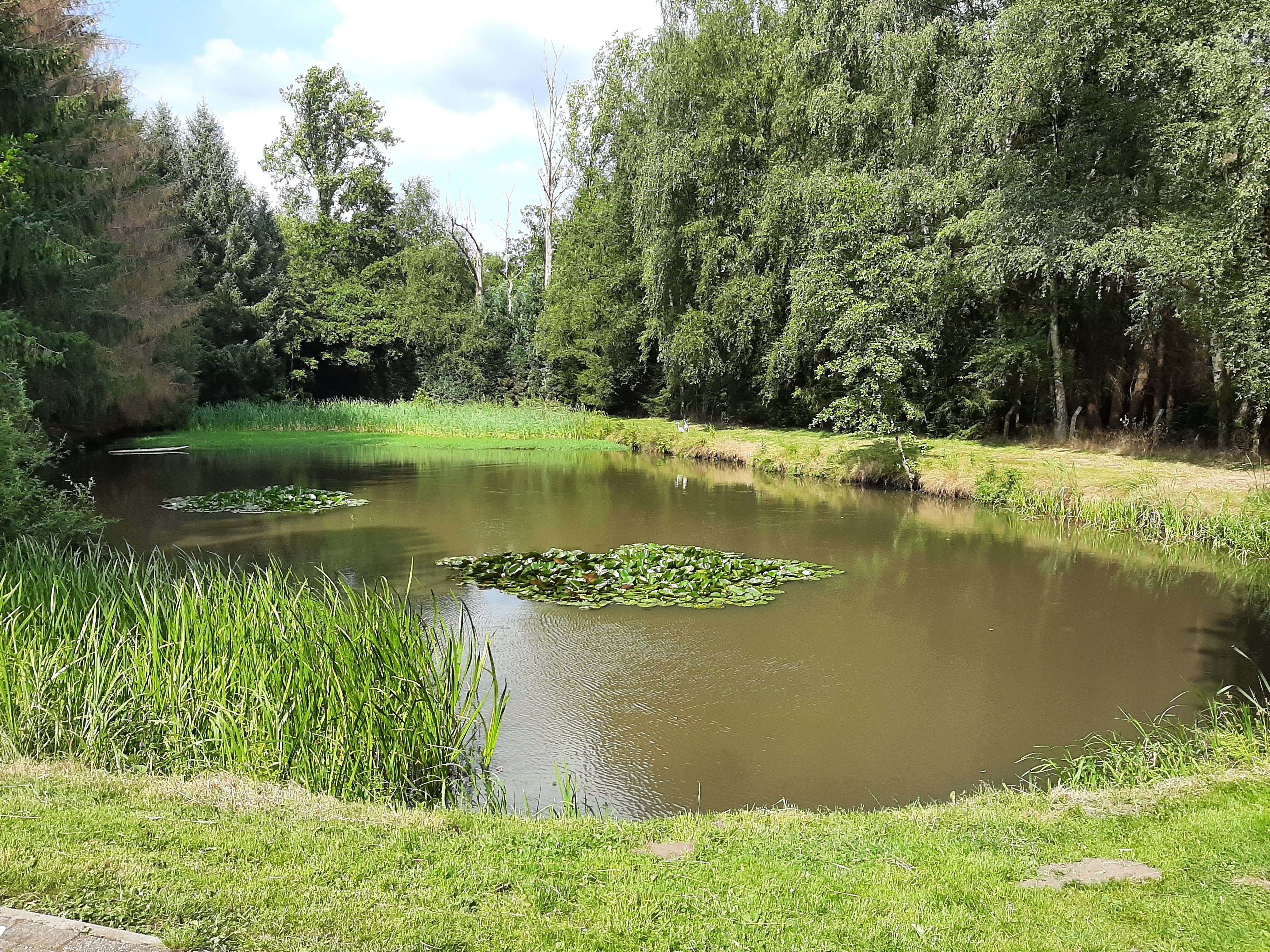 Natuurhuisje in Geel