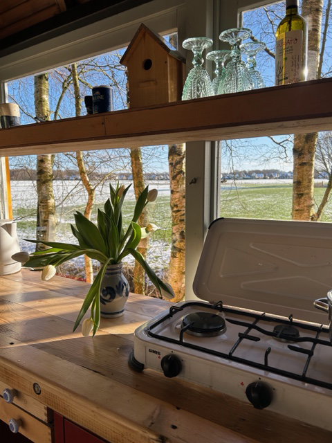 Maison nature à Feanwâlden