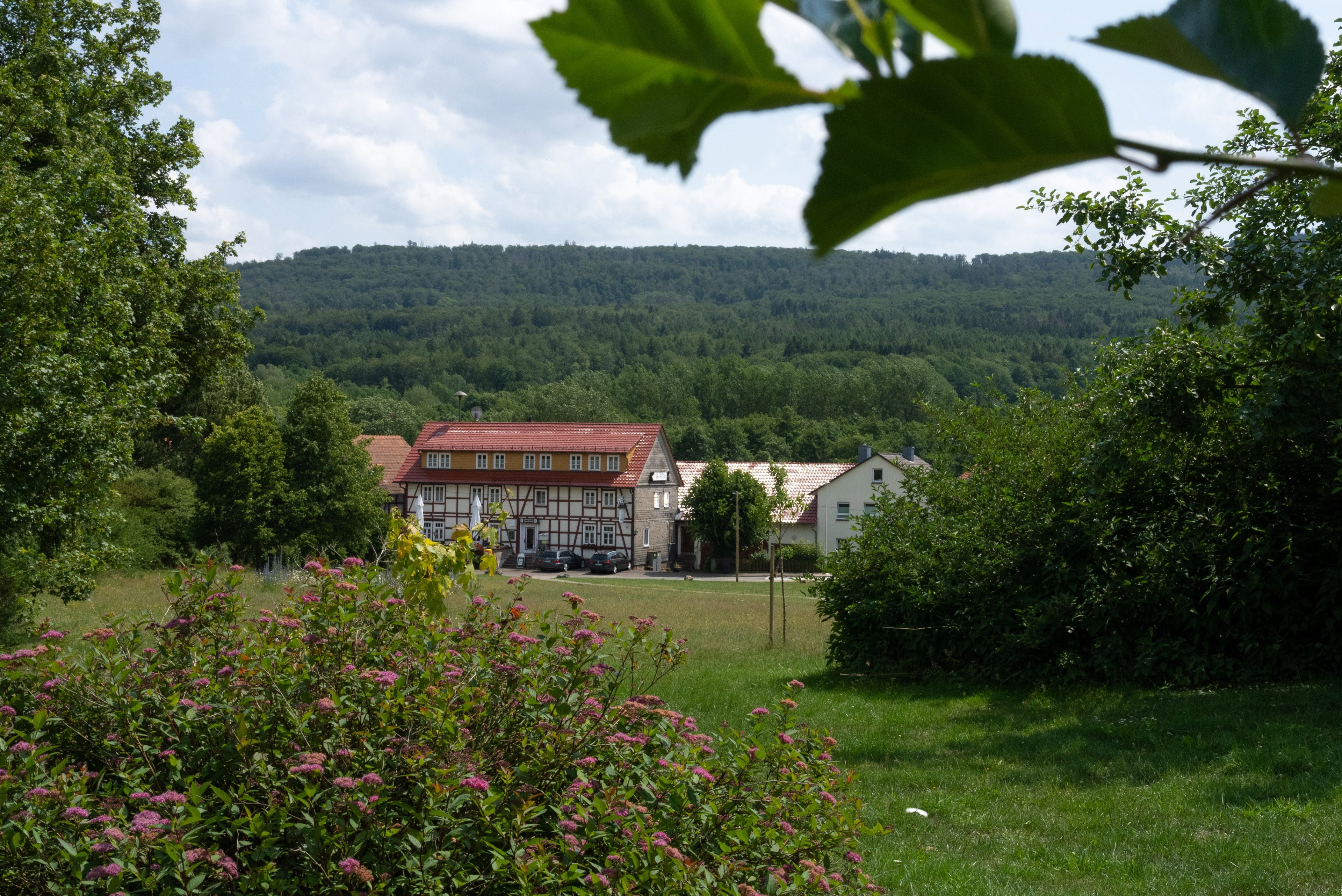 - image: 41