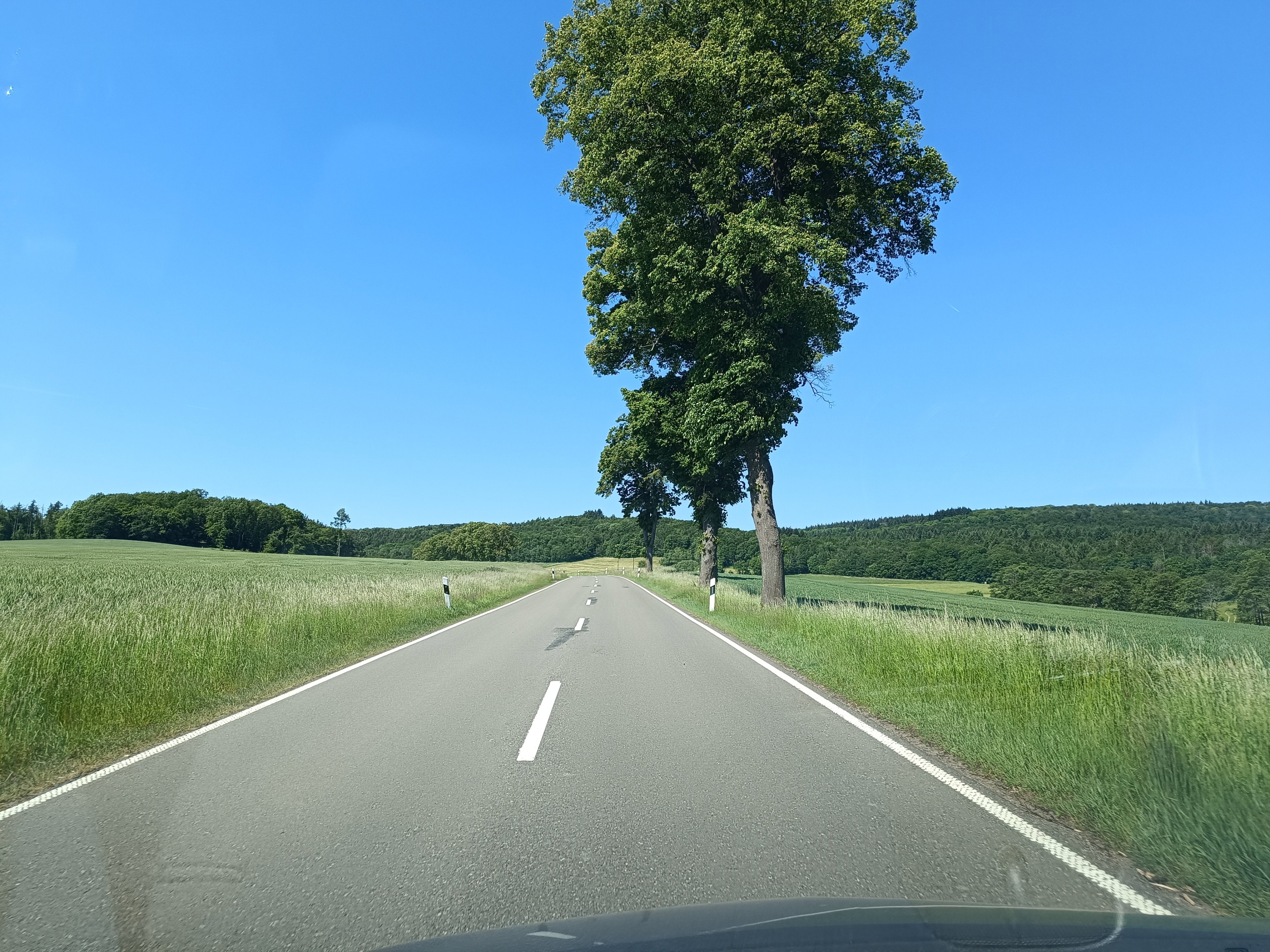 - image: 68