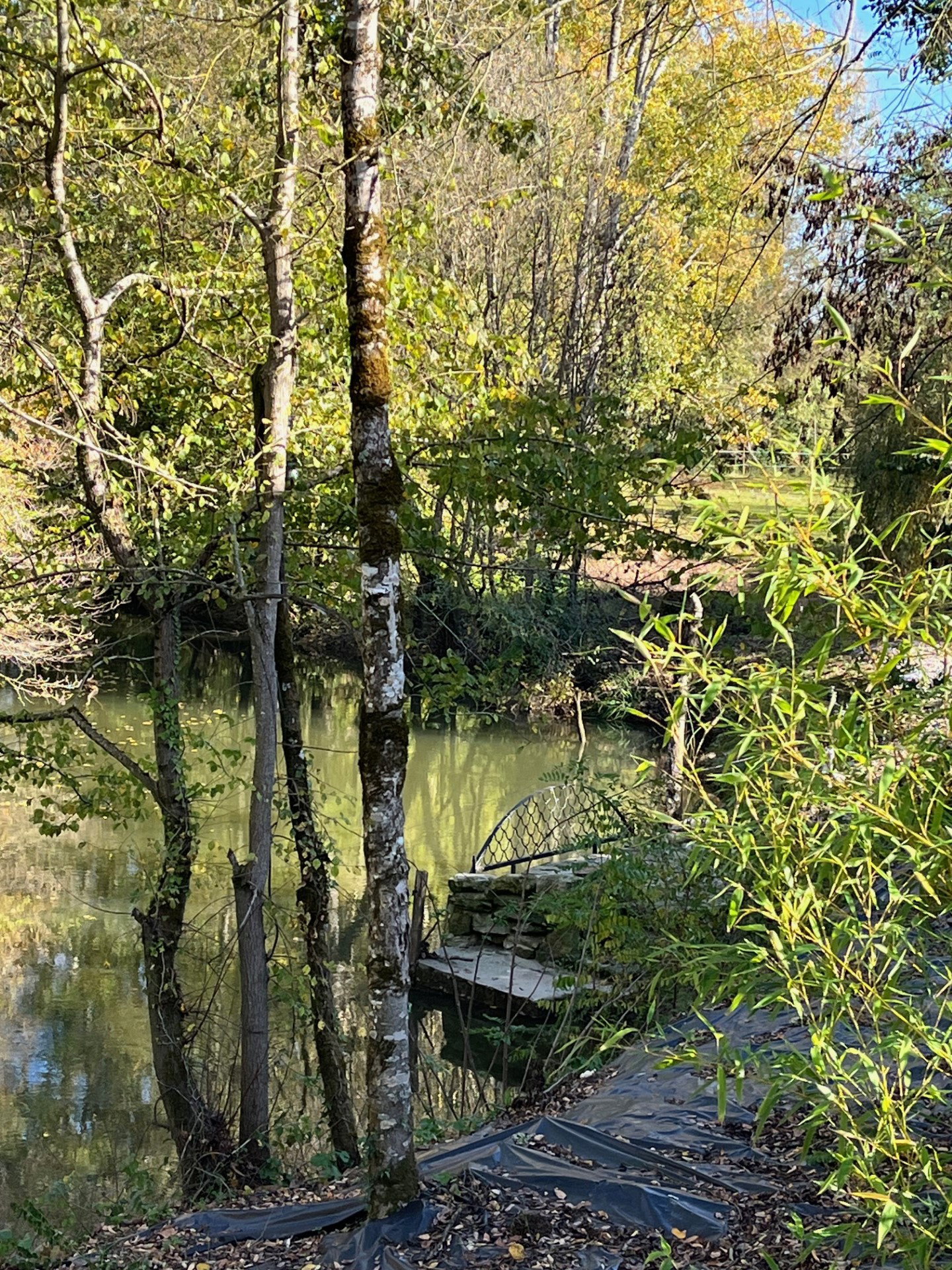 Natuurhuisje in CASSENEUIL