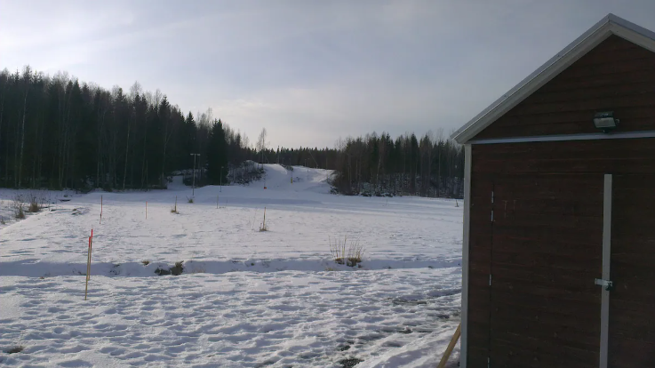 - image: 11