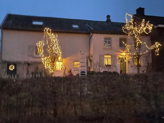 - image: 2