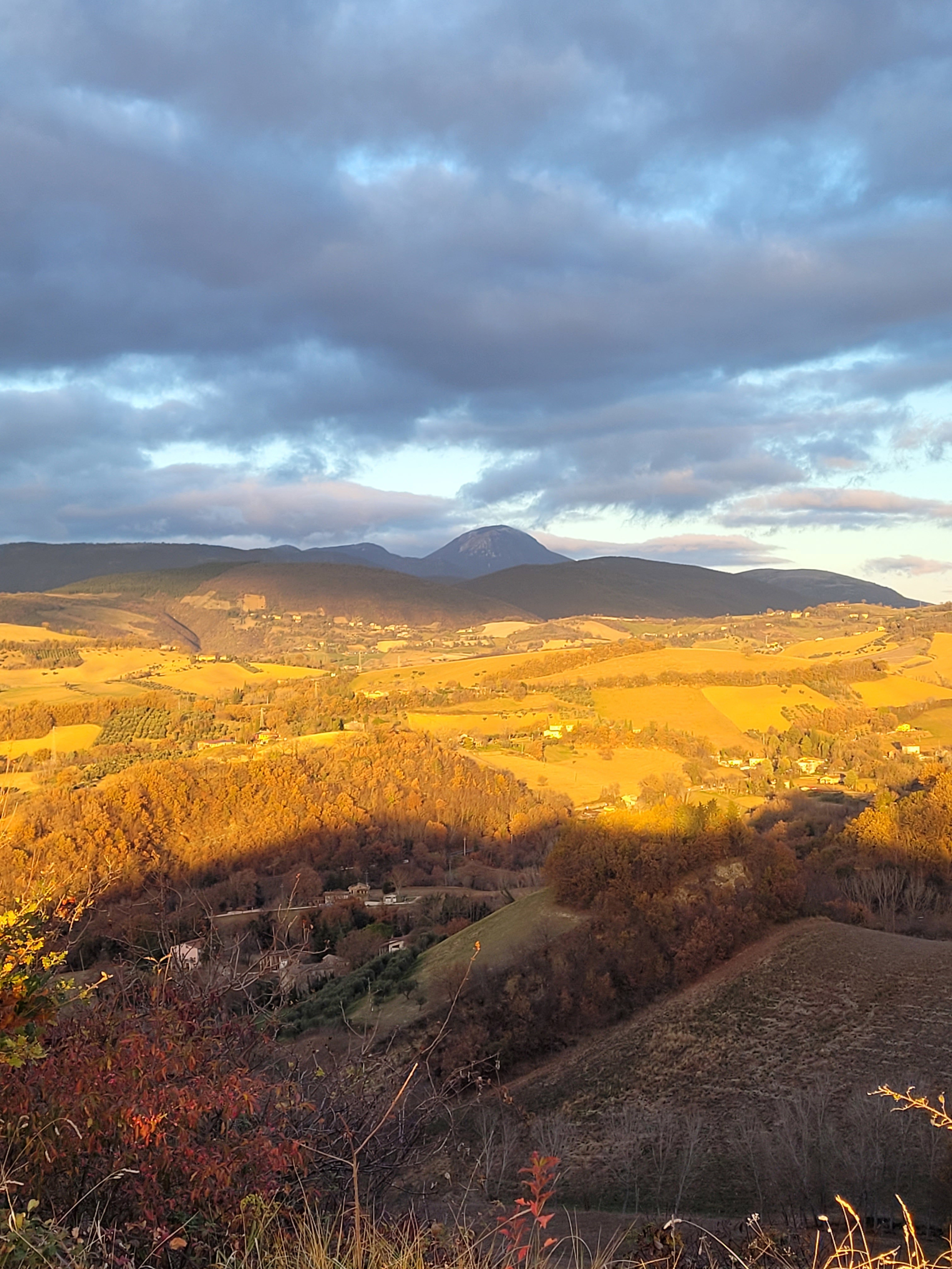 Casa nella natura a Cesolo