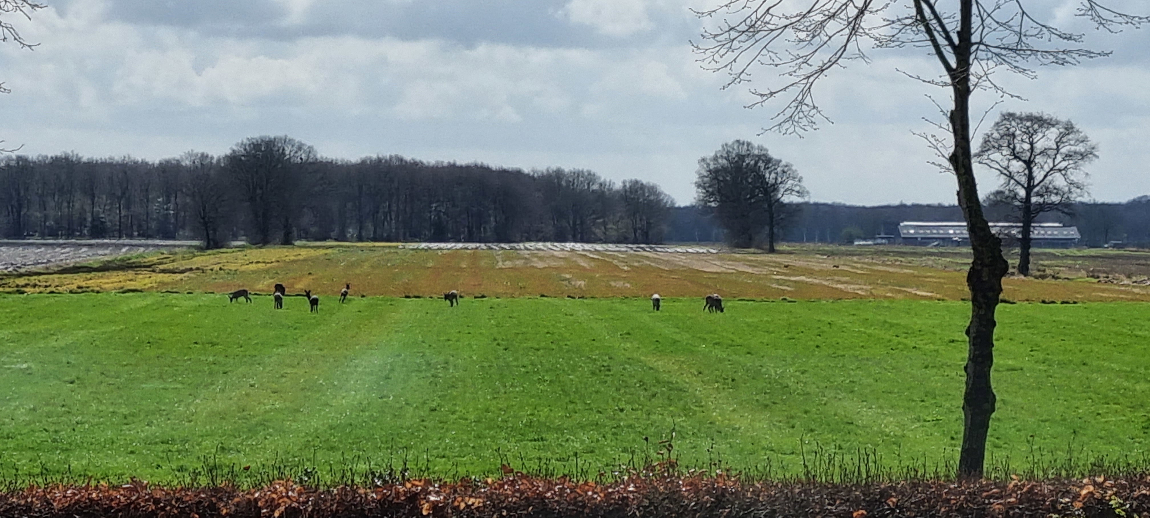 Natuurhuisje in Wapserveen