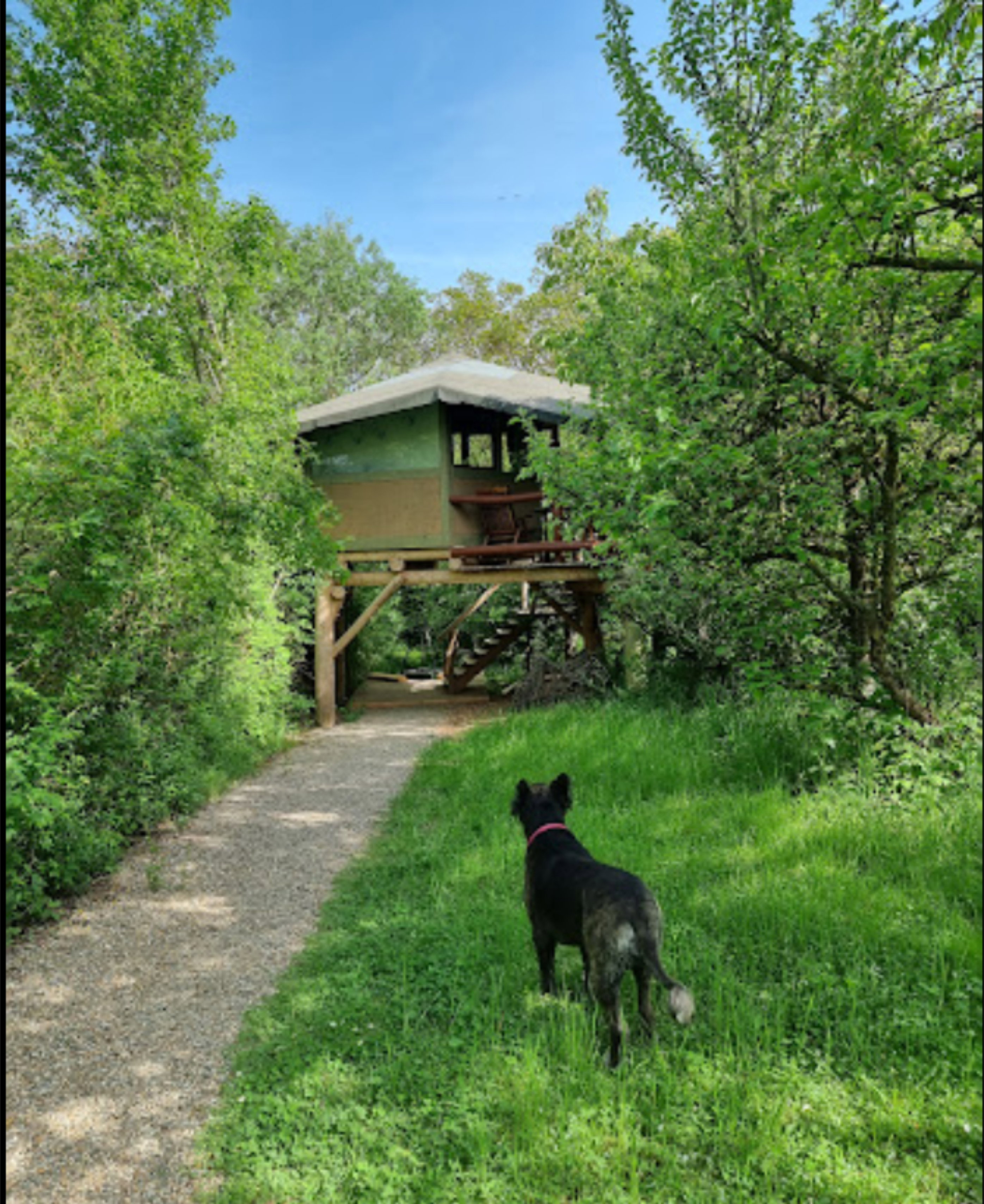 Natuurhuisje in Leinach