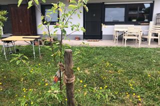 Nature house in Waizenbach