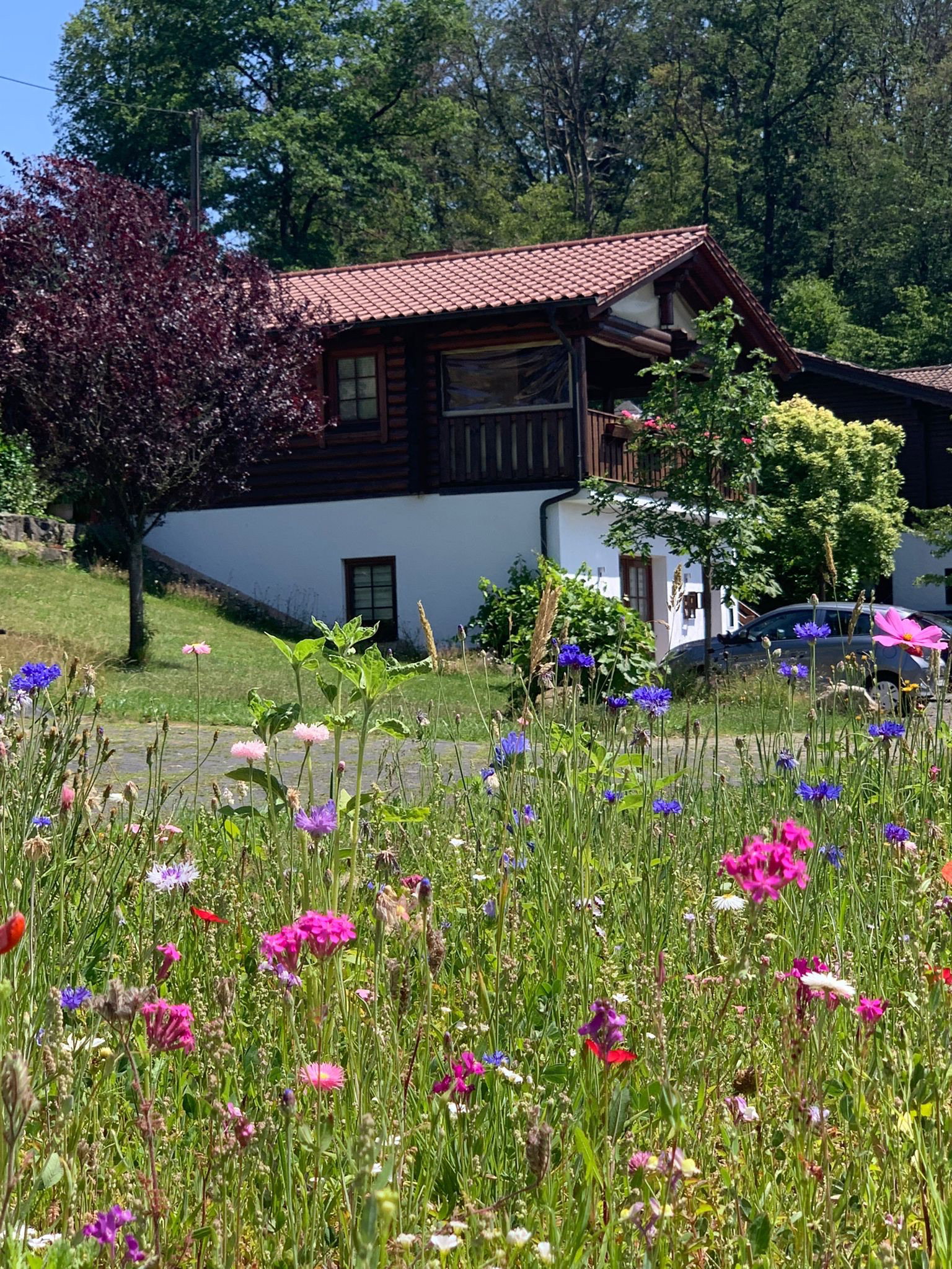 Maison nature à Helmeroth/Westerwald