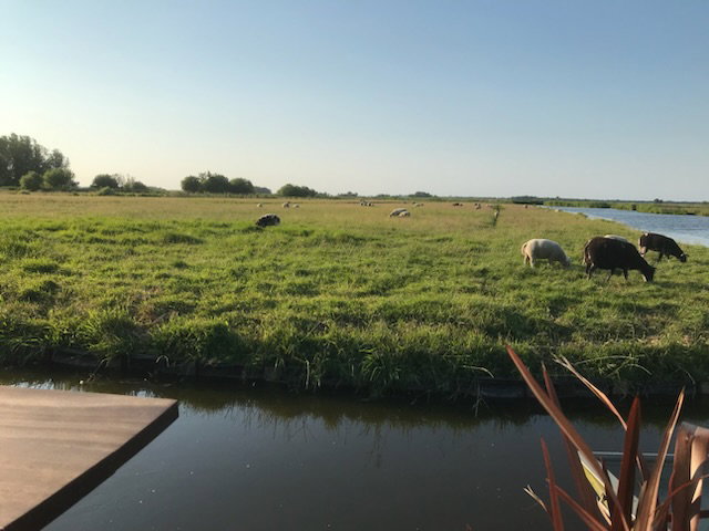 Naturhäuschen in Wormer