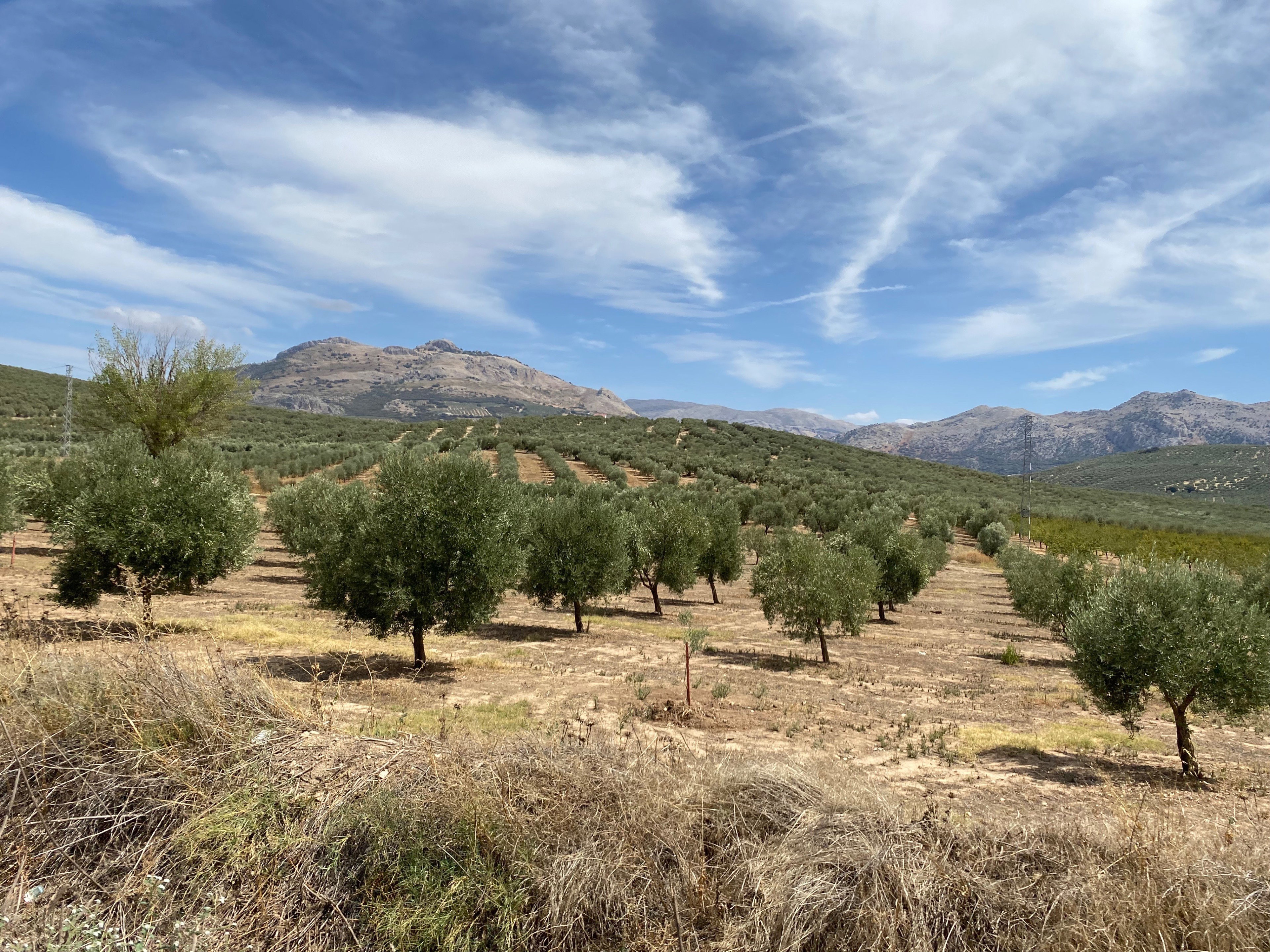Nature house in Villanueva del Trabuco