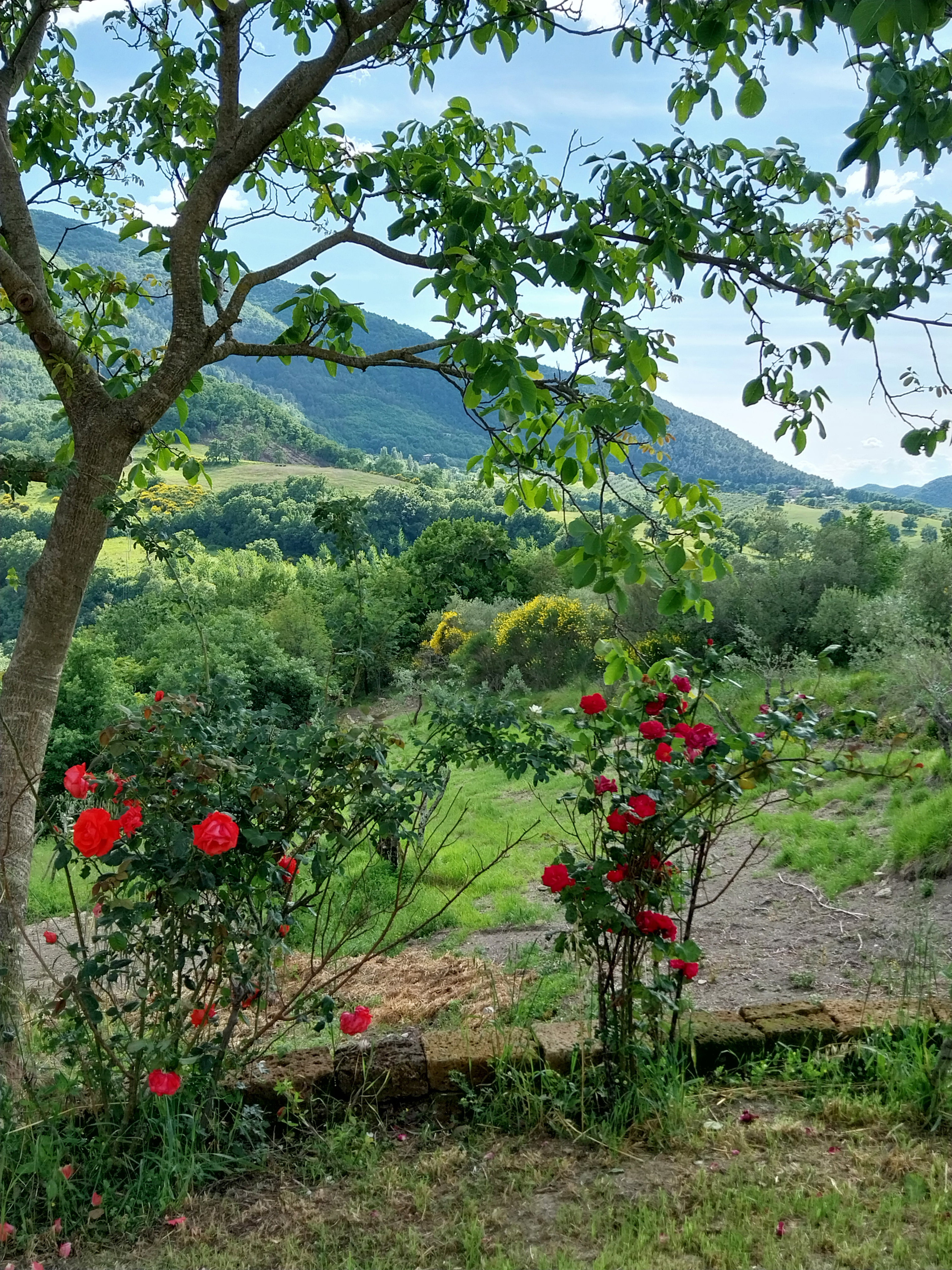 Casa nella natura a Assisi