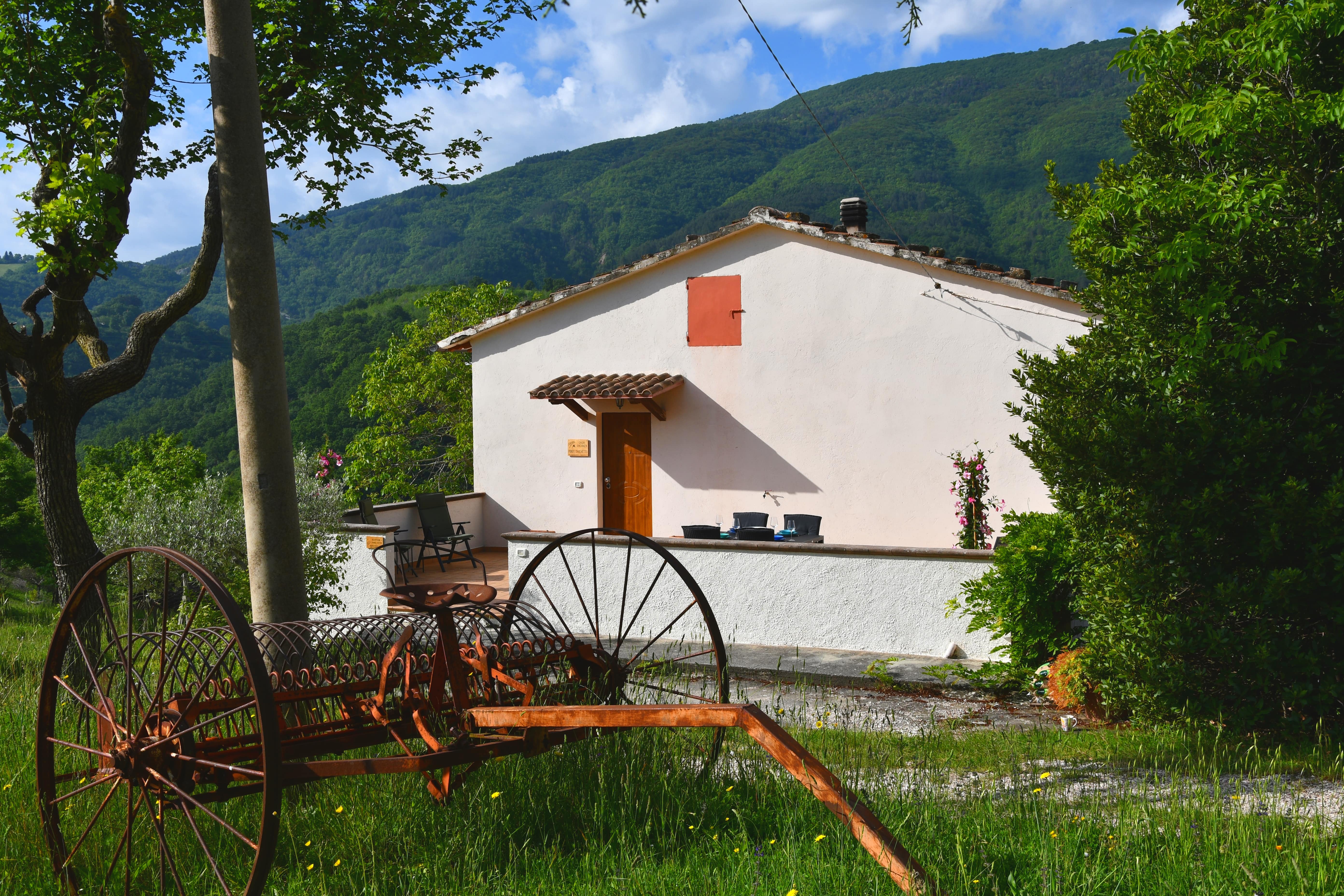 Nature house in Assisi