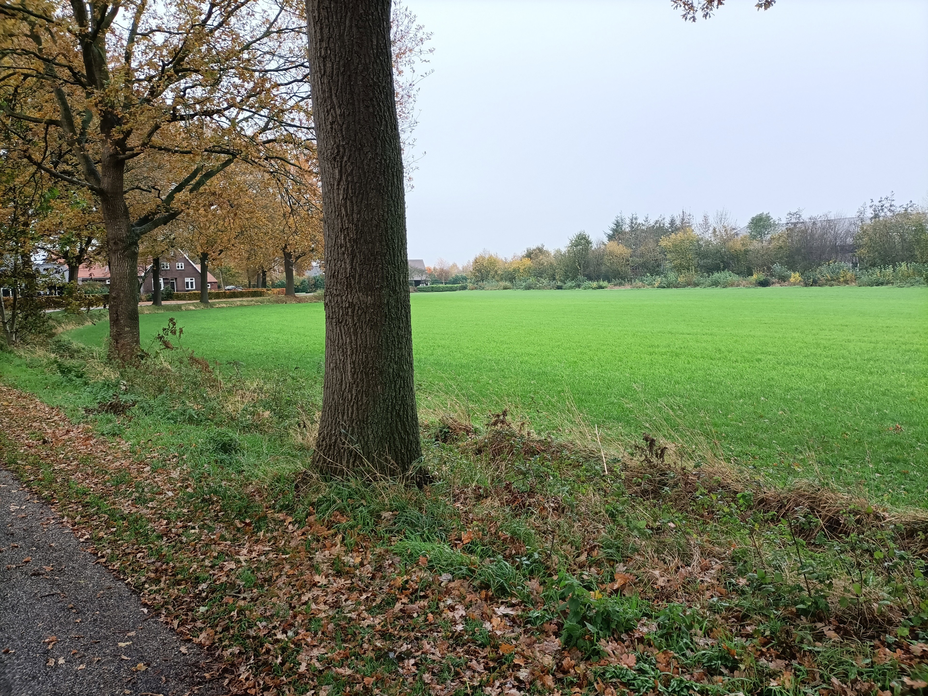 Naturhäuschen in Beltrum