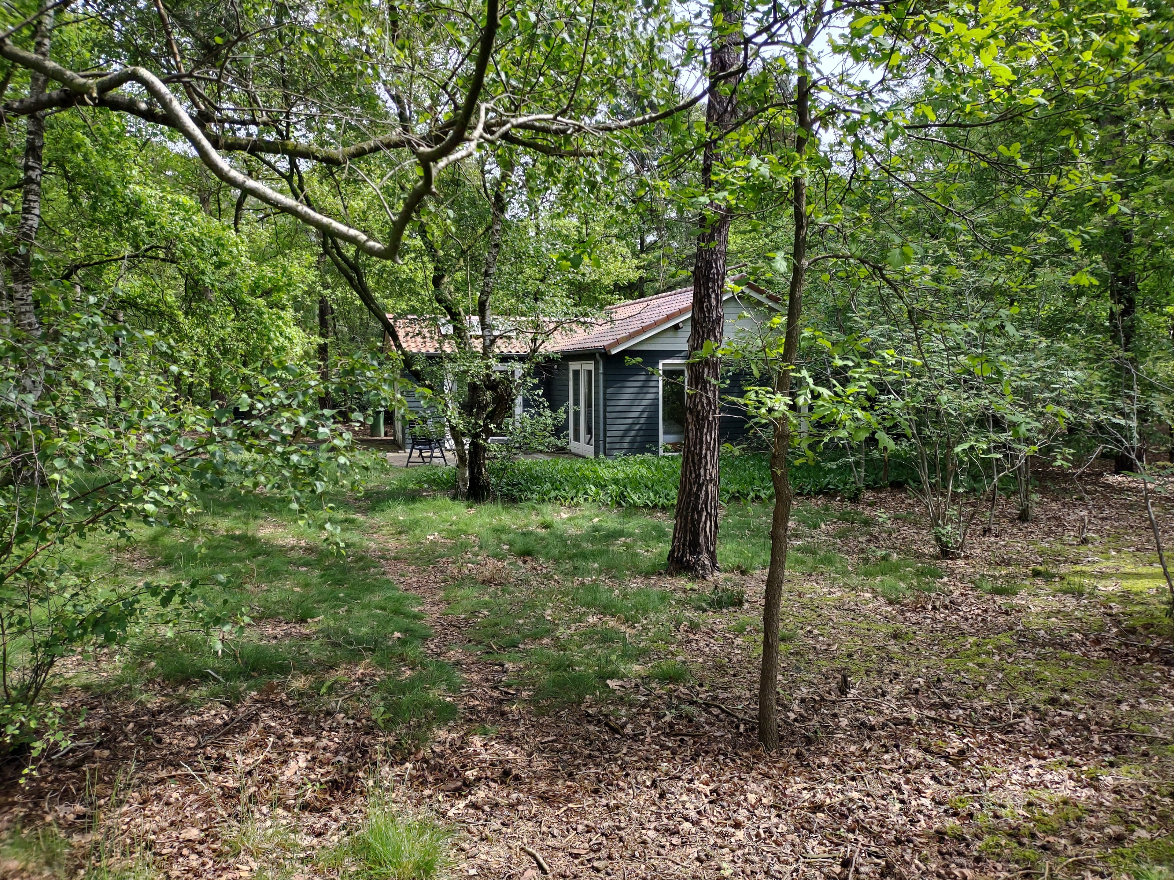 Natuurhuisje in Mierlo