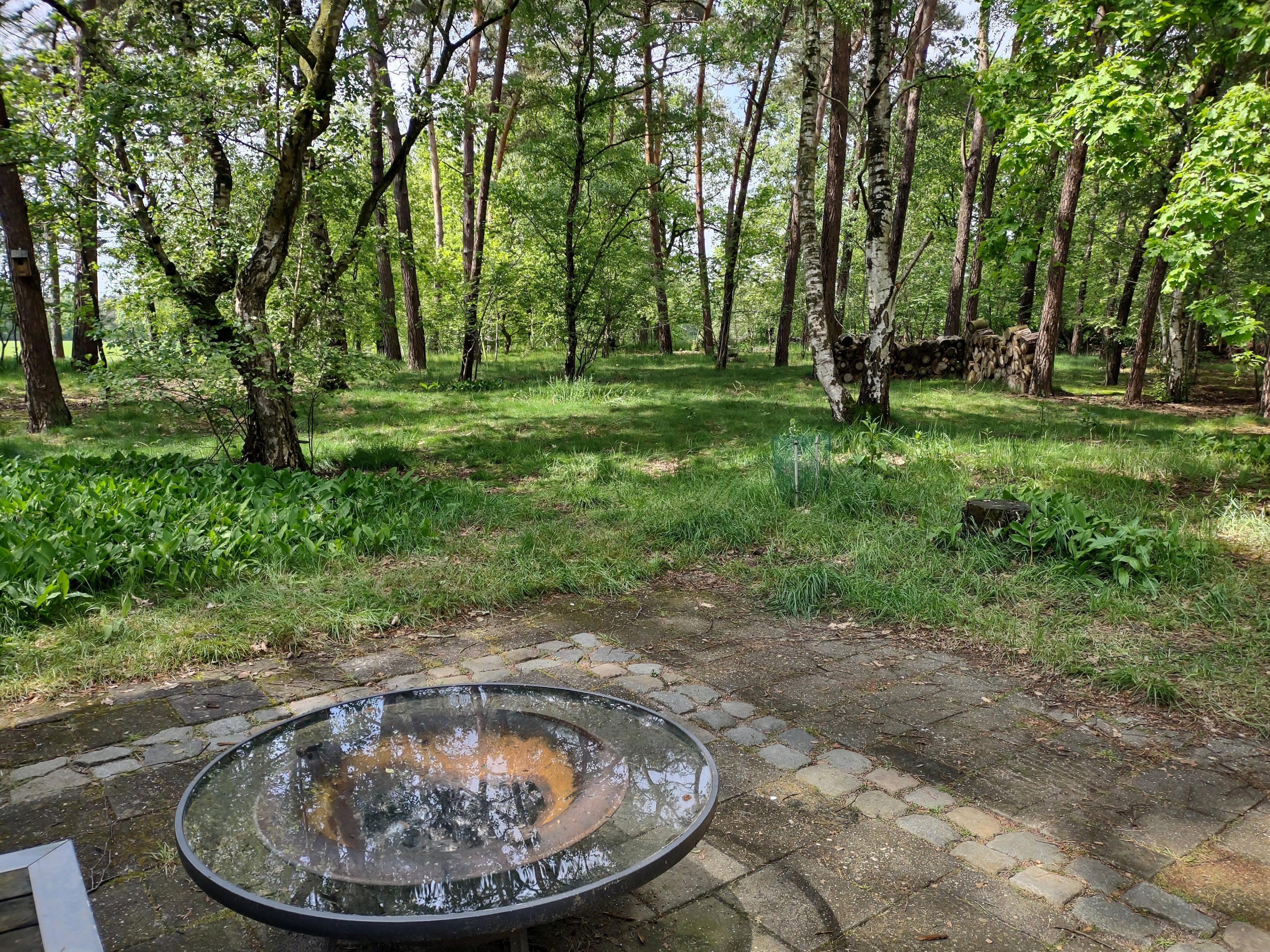 Natuurhuisje in Mierlo