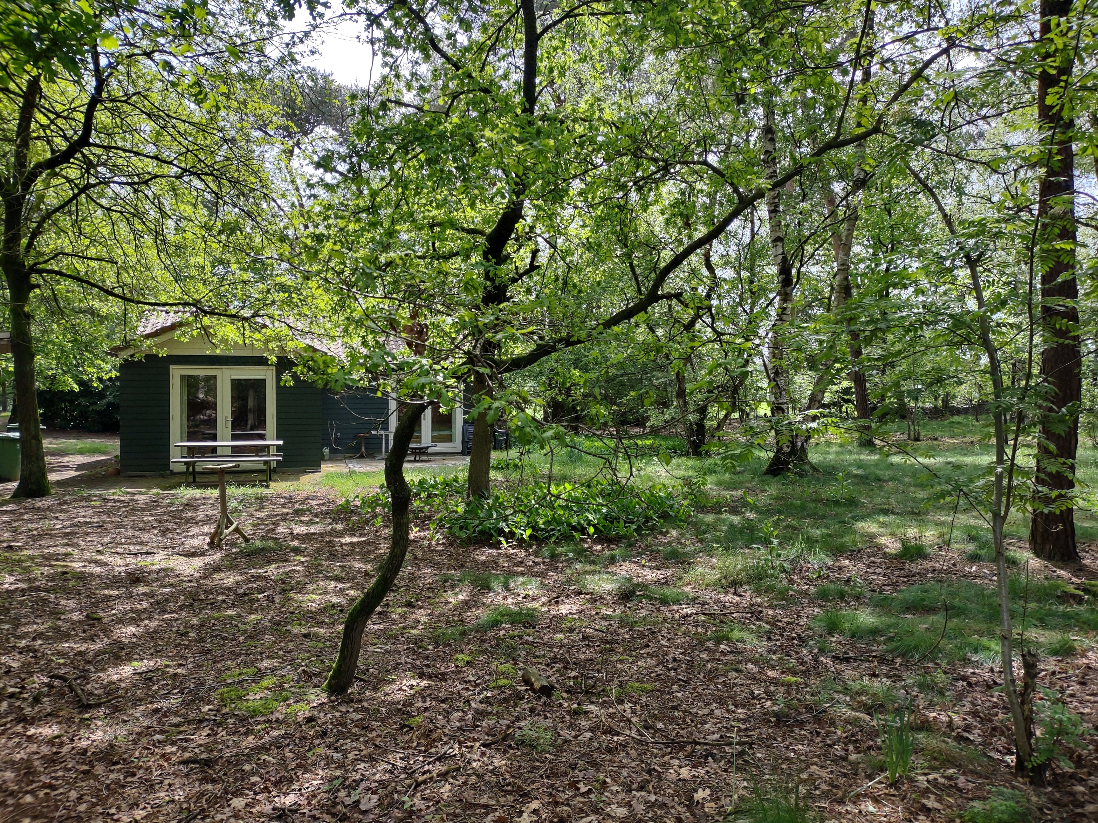 Natuurhuisje in Mierlo