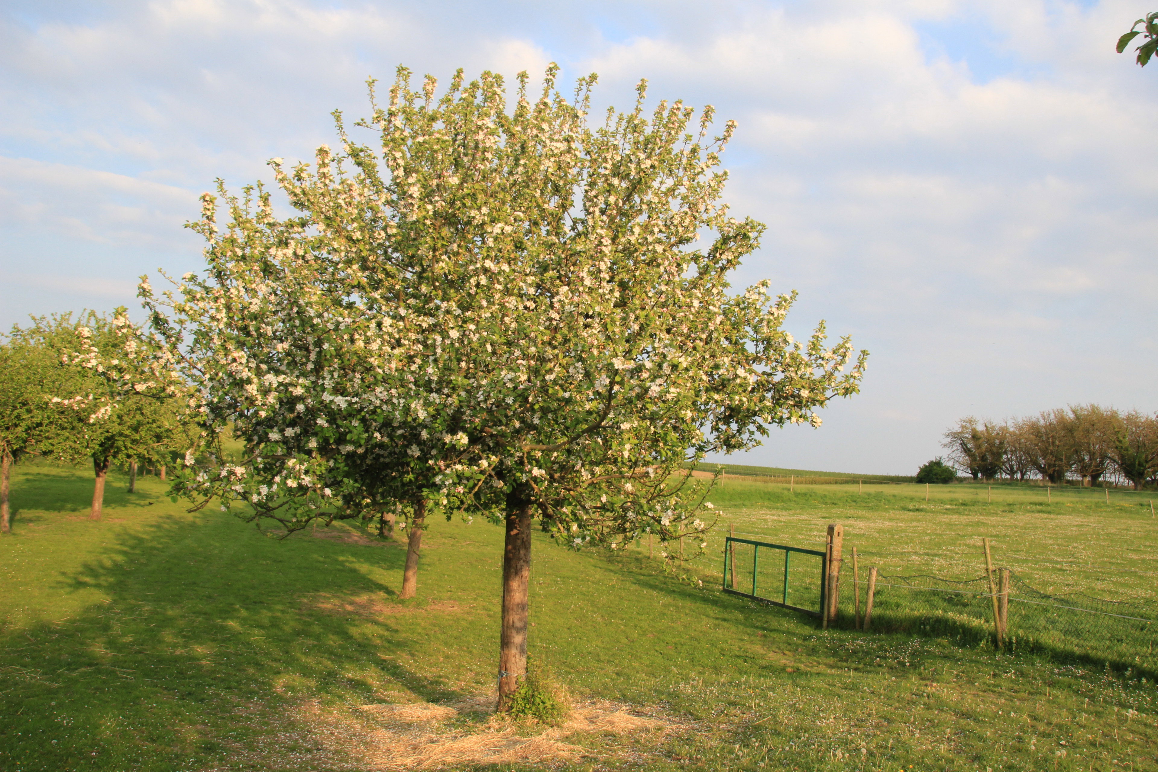 Naturhäuschen in Heers