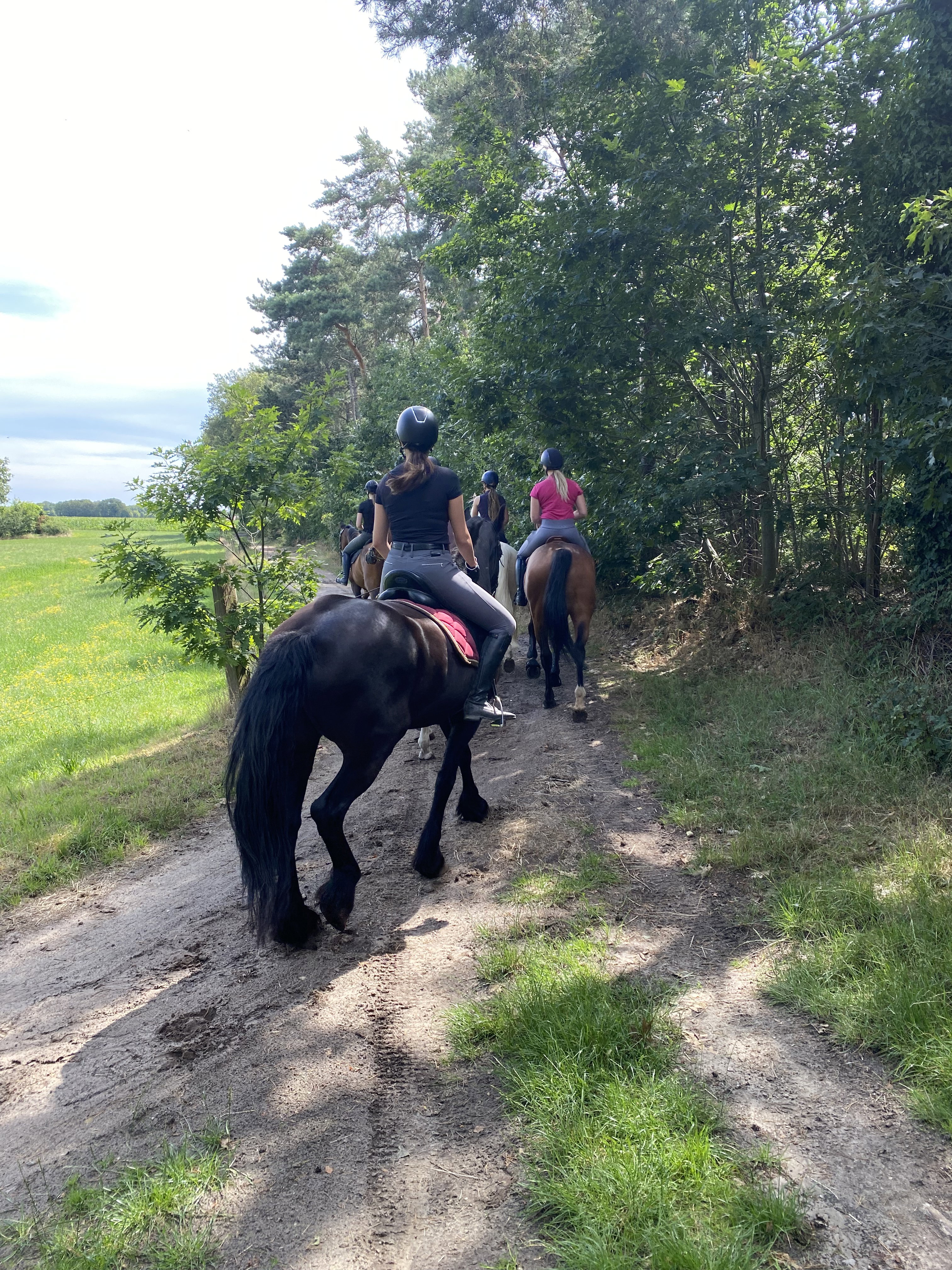 Natuurhuisje in Bladel