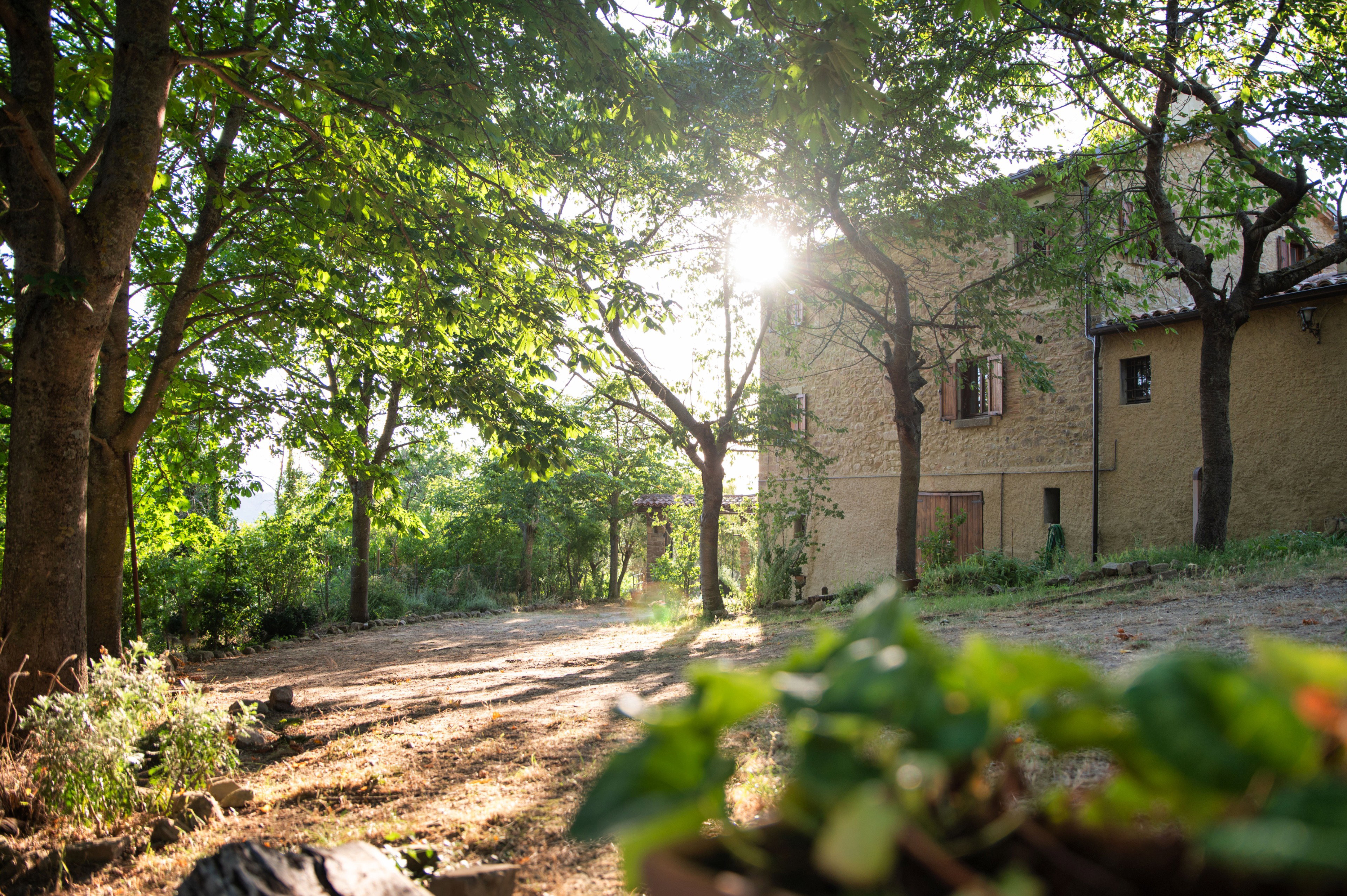 Casa nella natura a Secchiano