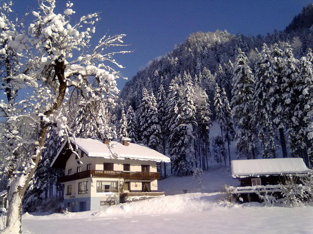 - image: 21