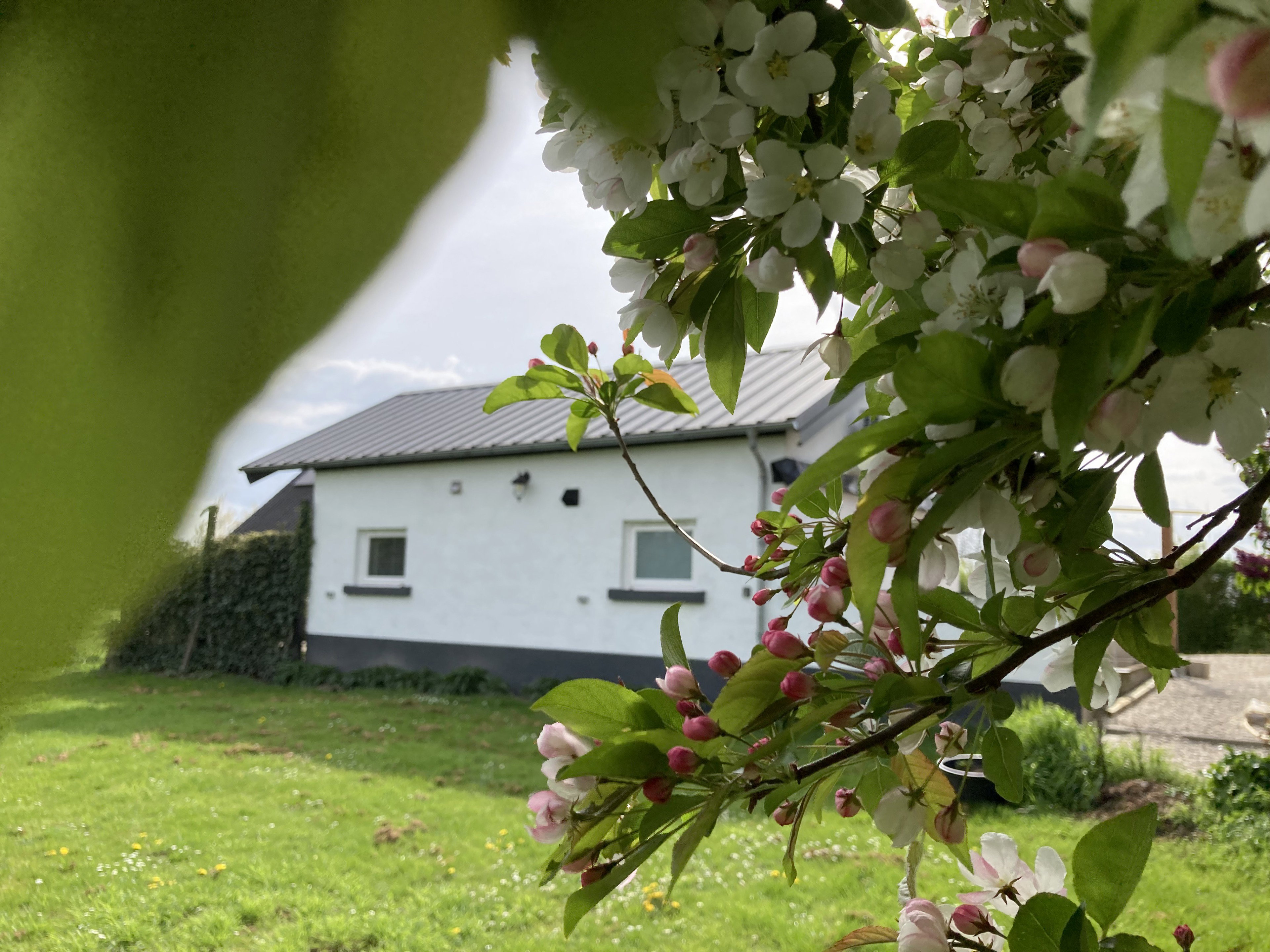 Naturhäuschen in Ravenswaaij