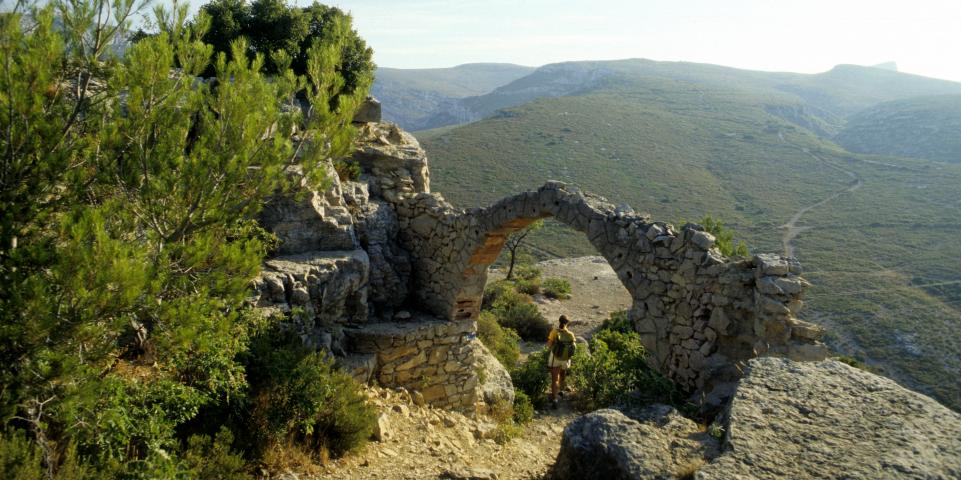 - image: 20
