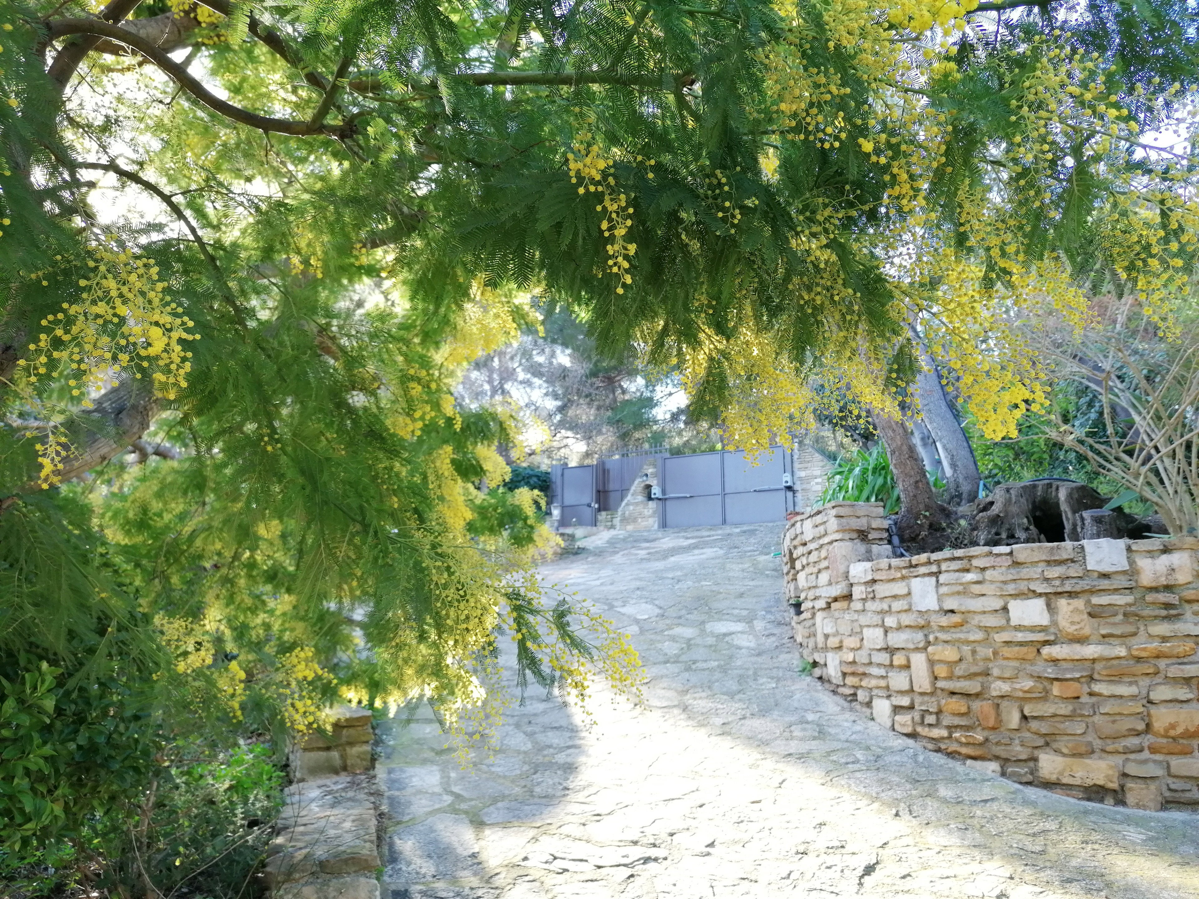 - image: 26
