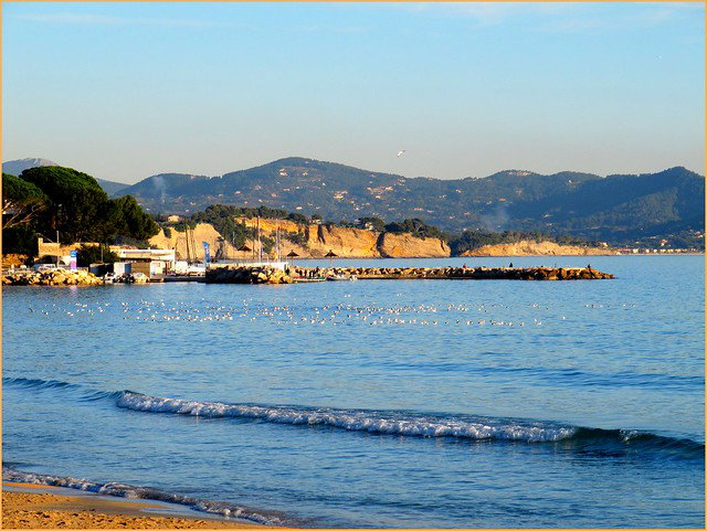 - image: 28