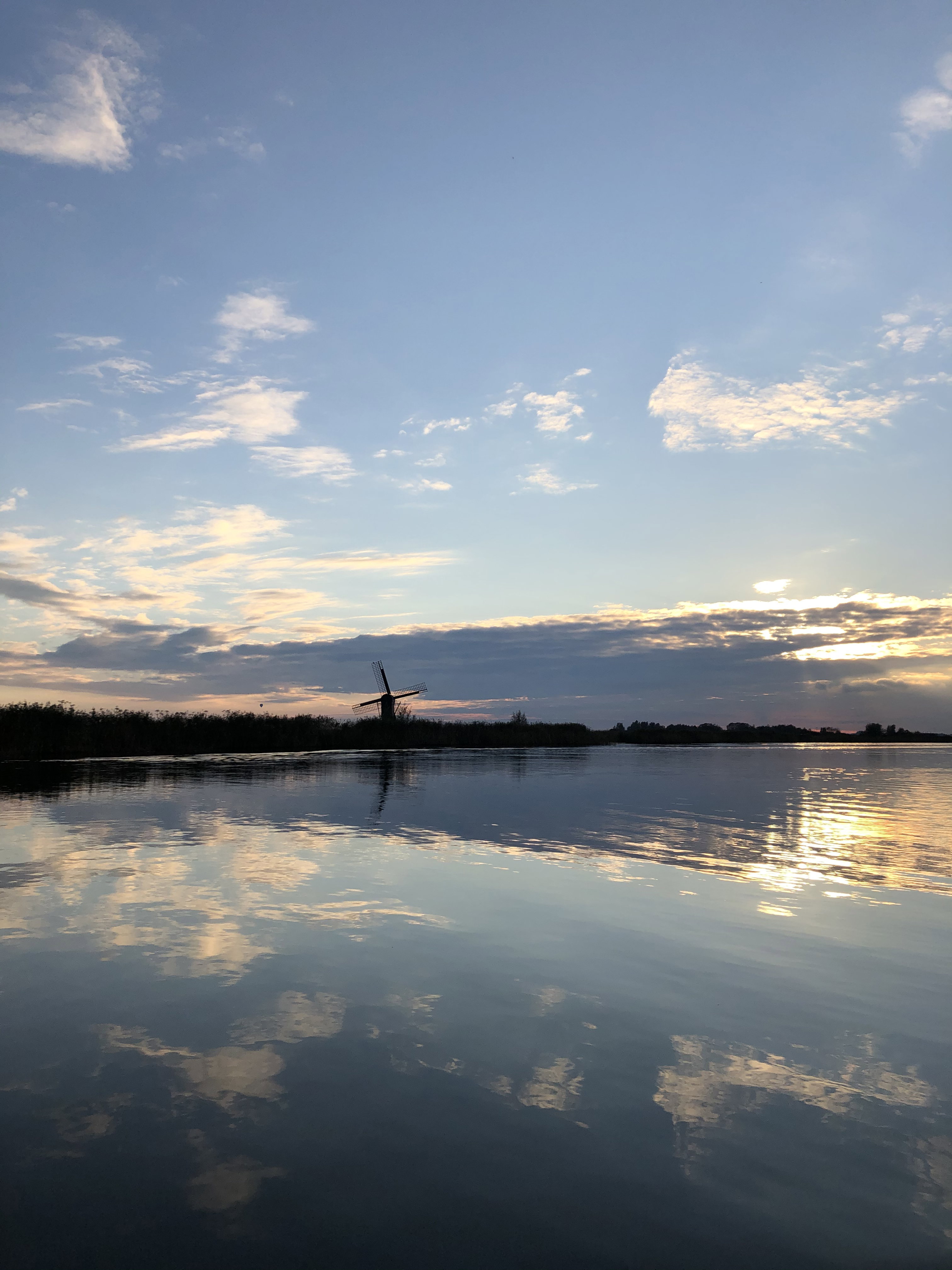 - image: 29