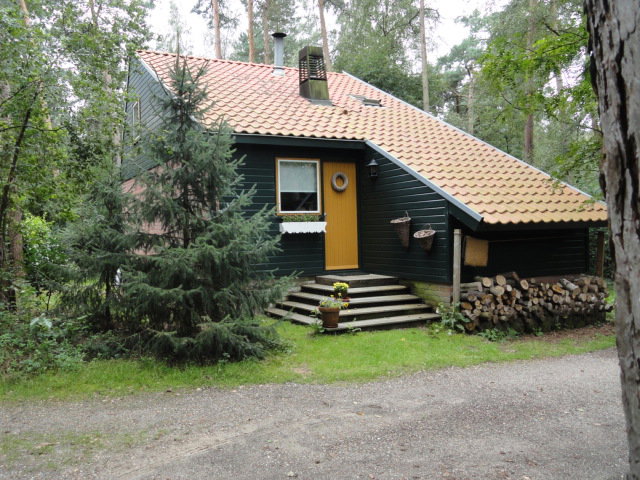 - image: 4