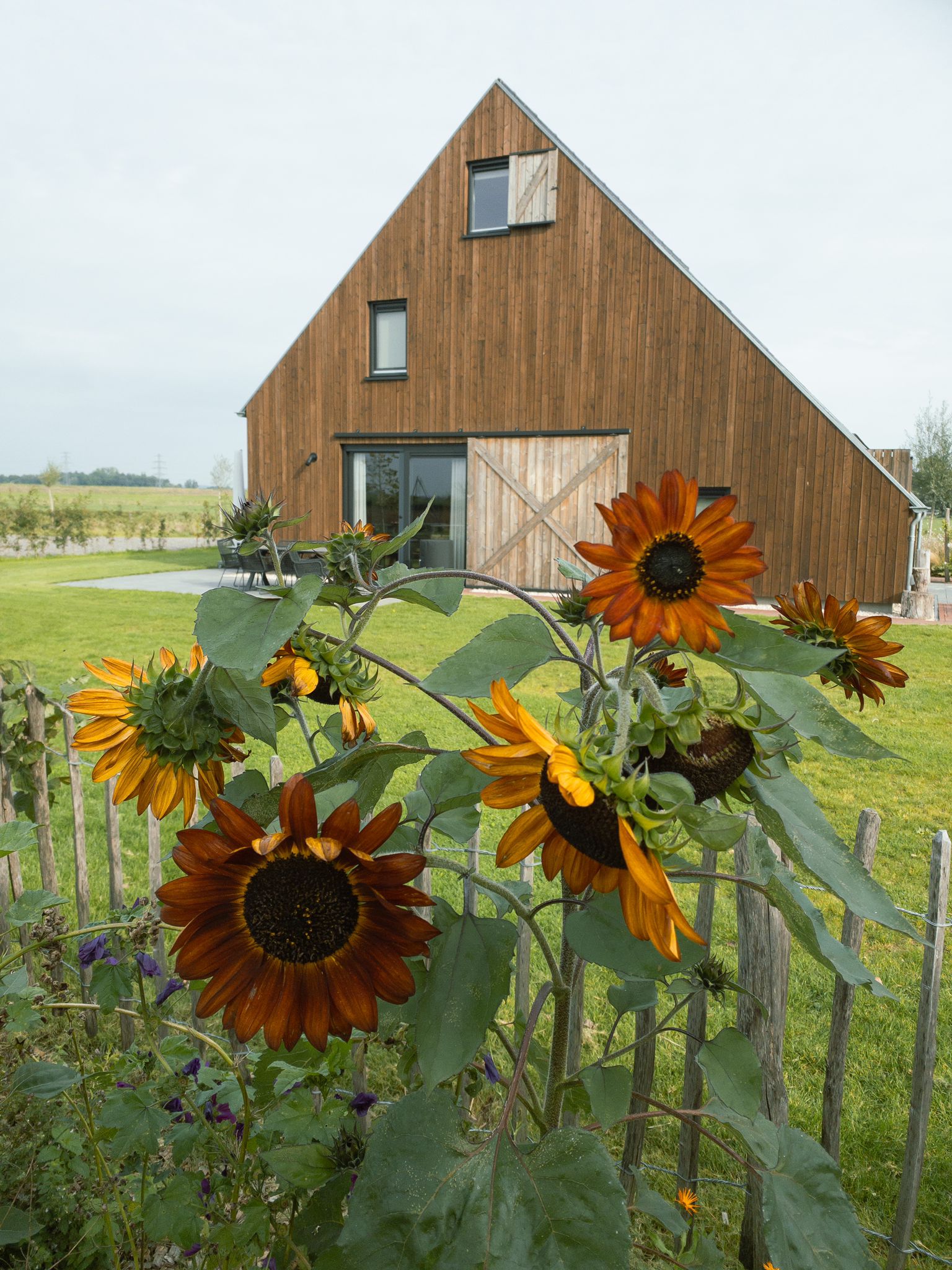 Natuurhuisje in Veessen