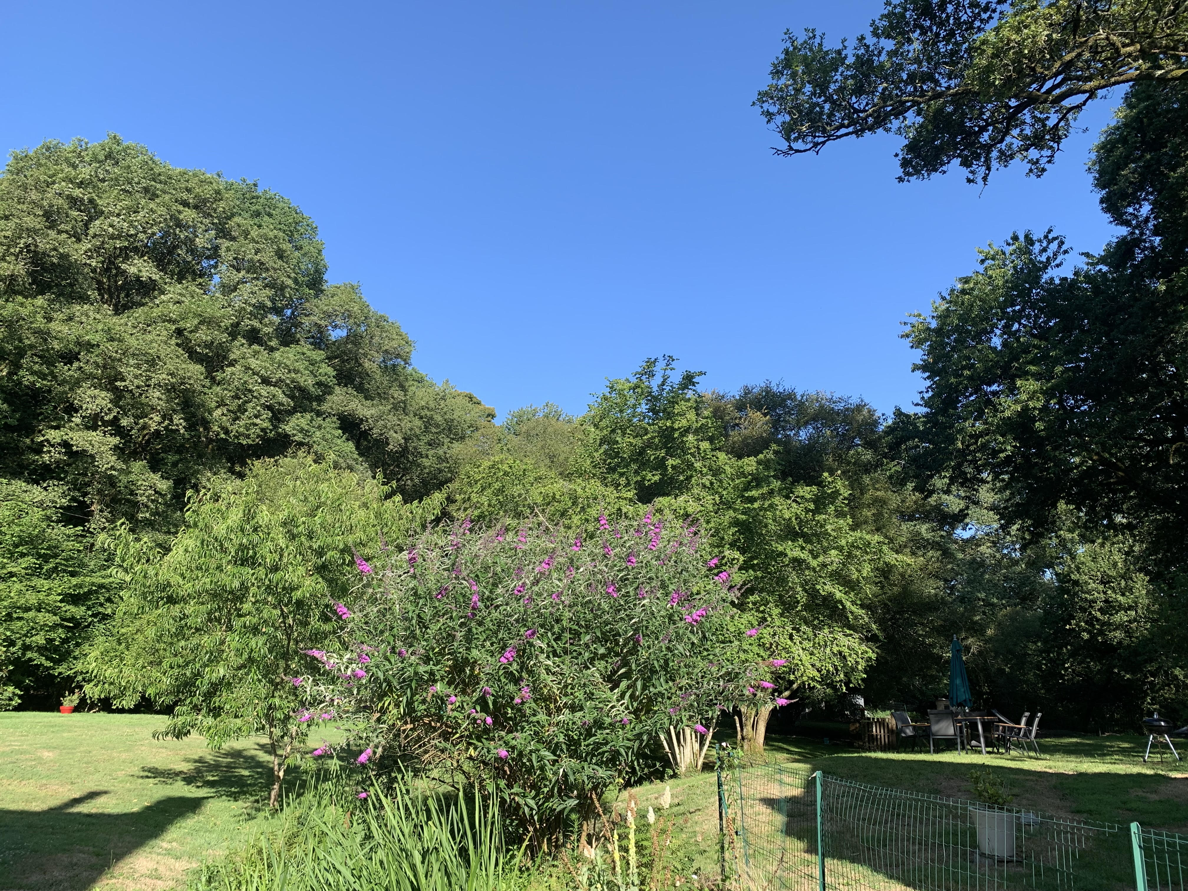 Maison nature à Noyal-Muzillac
