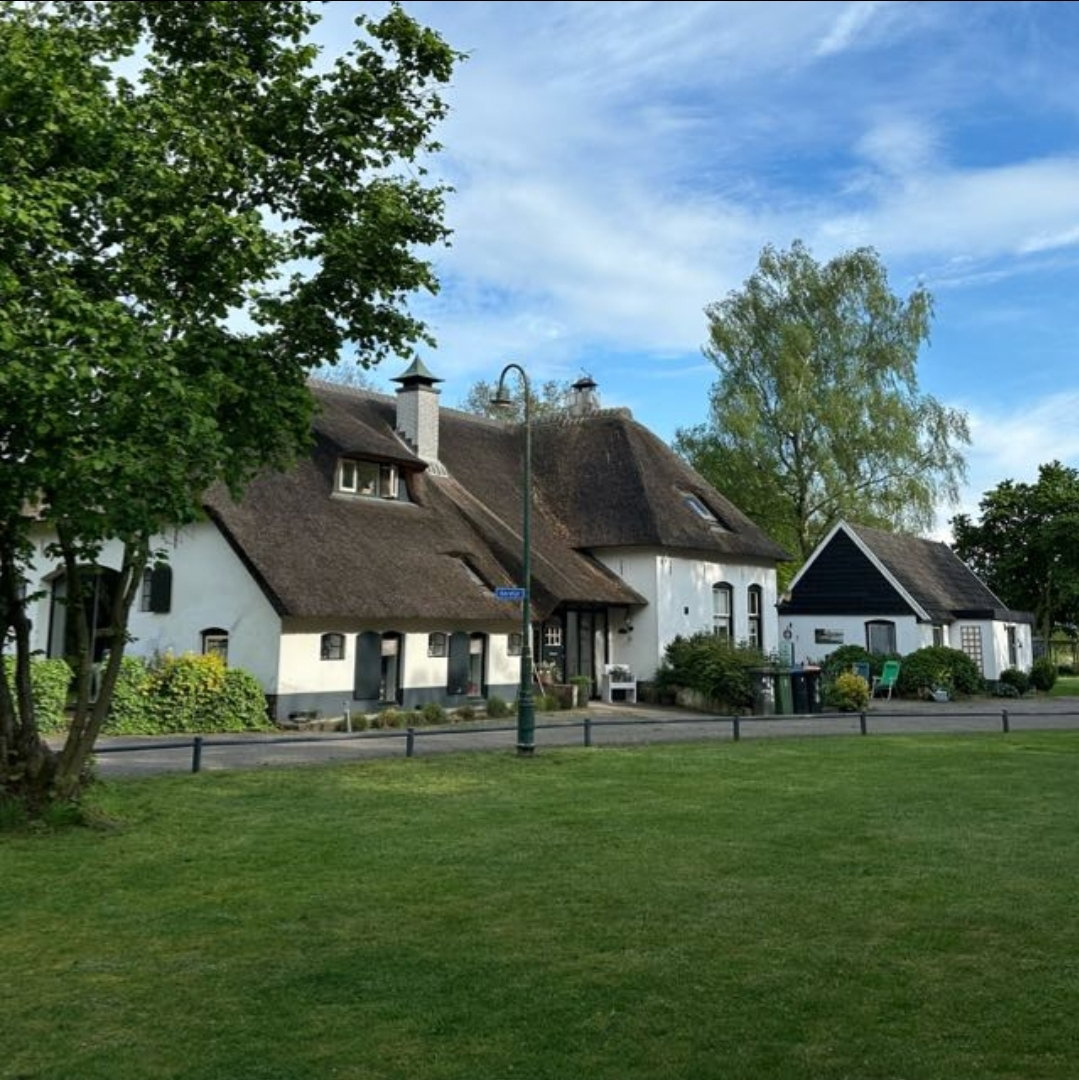 - image: 24