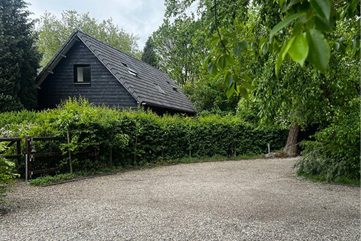 - image: 1