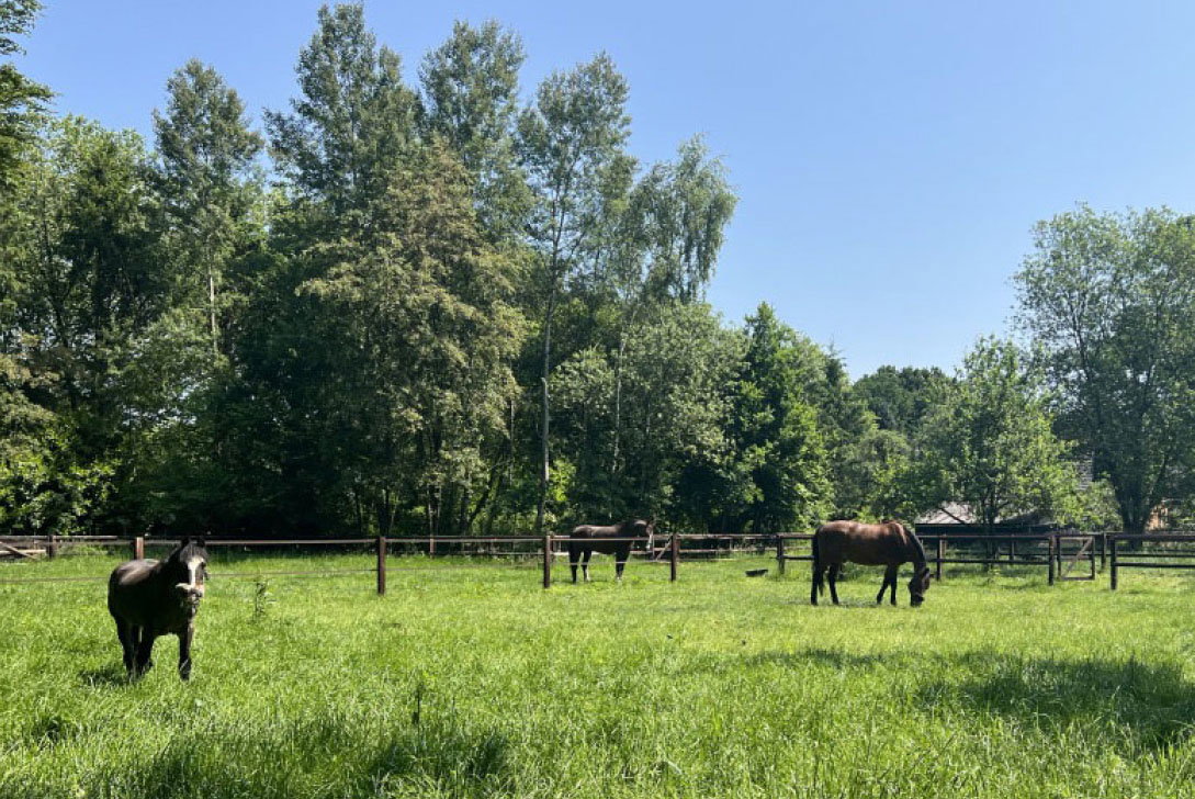 Casa nella natura a Eerbeek