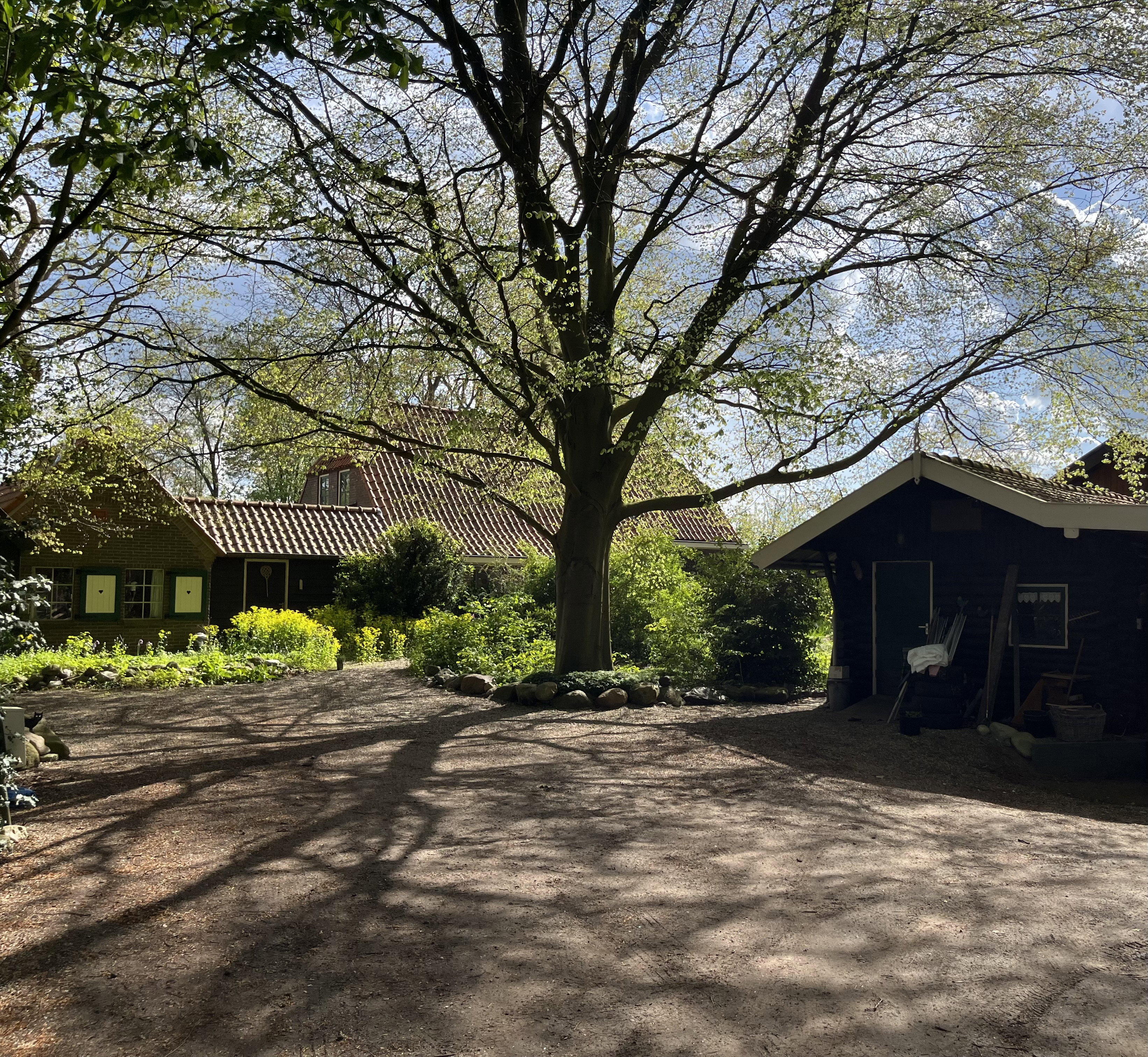 Naturhäuschen in Ommen