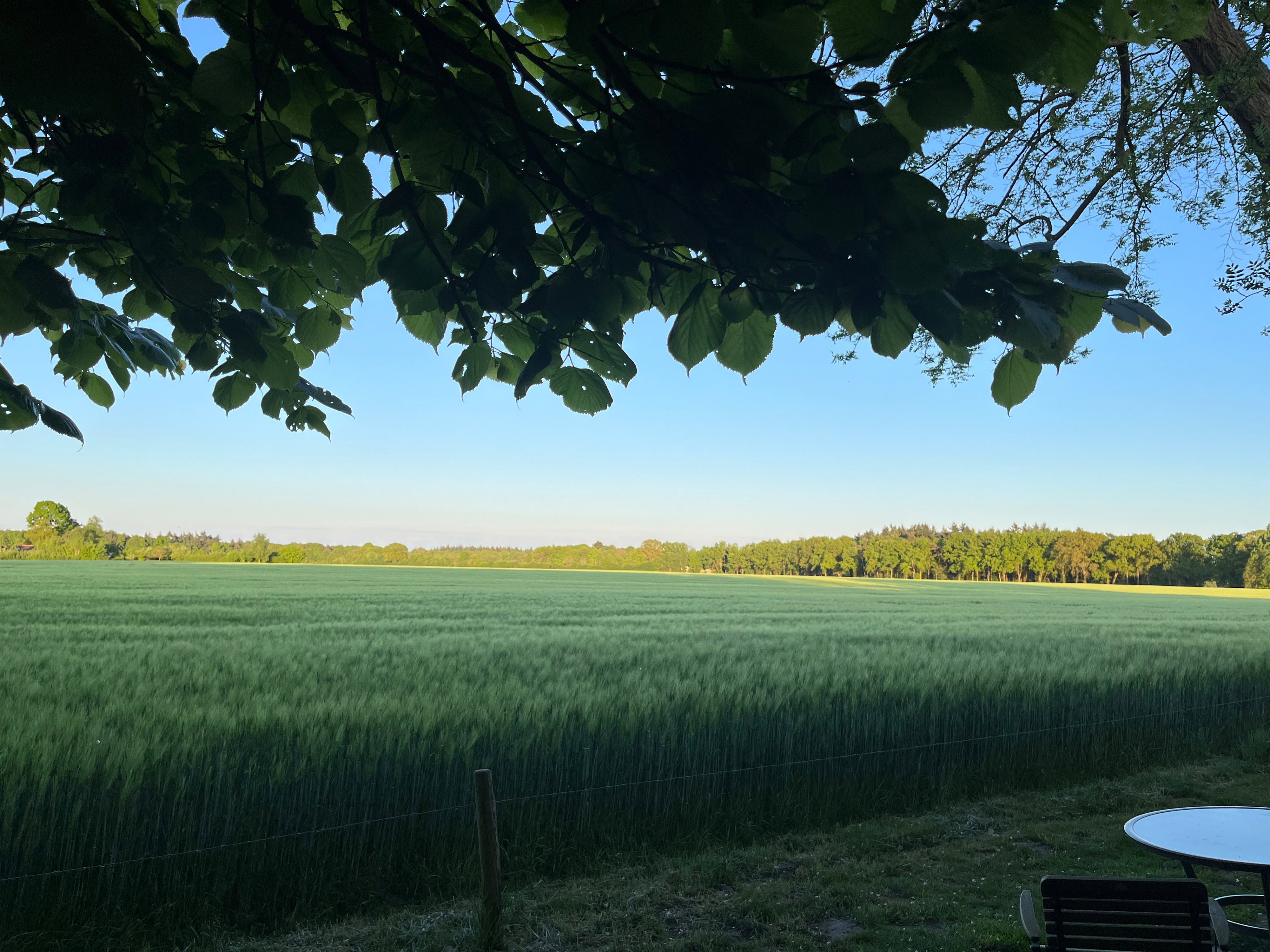 Naturhäuschen in Ommen